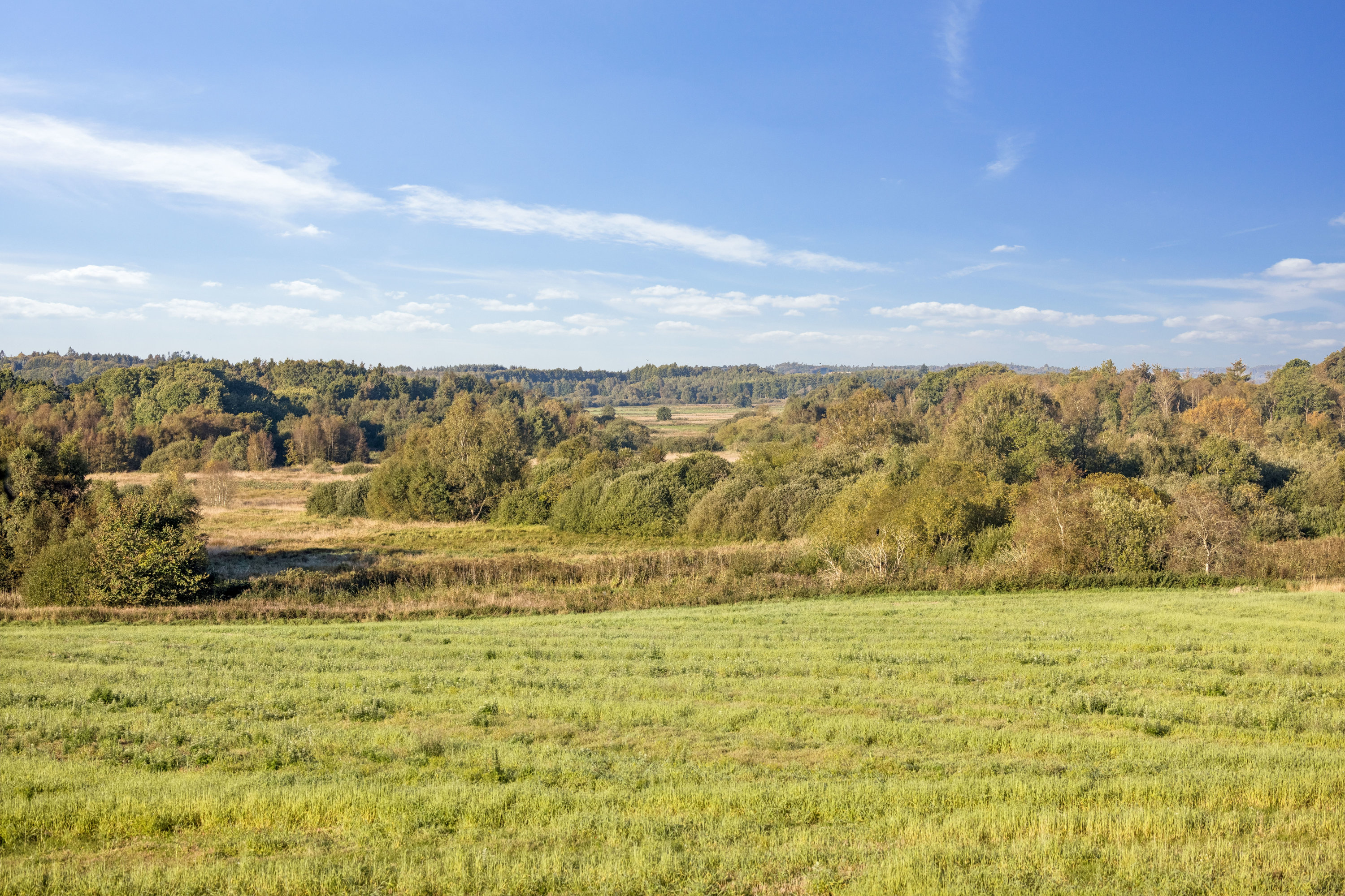 Fremhævet omgivelser billede i fuldskærmstilstand. Billede af Tindbæk Byvej 11, Tindbæk, 8830 Tjele