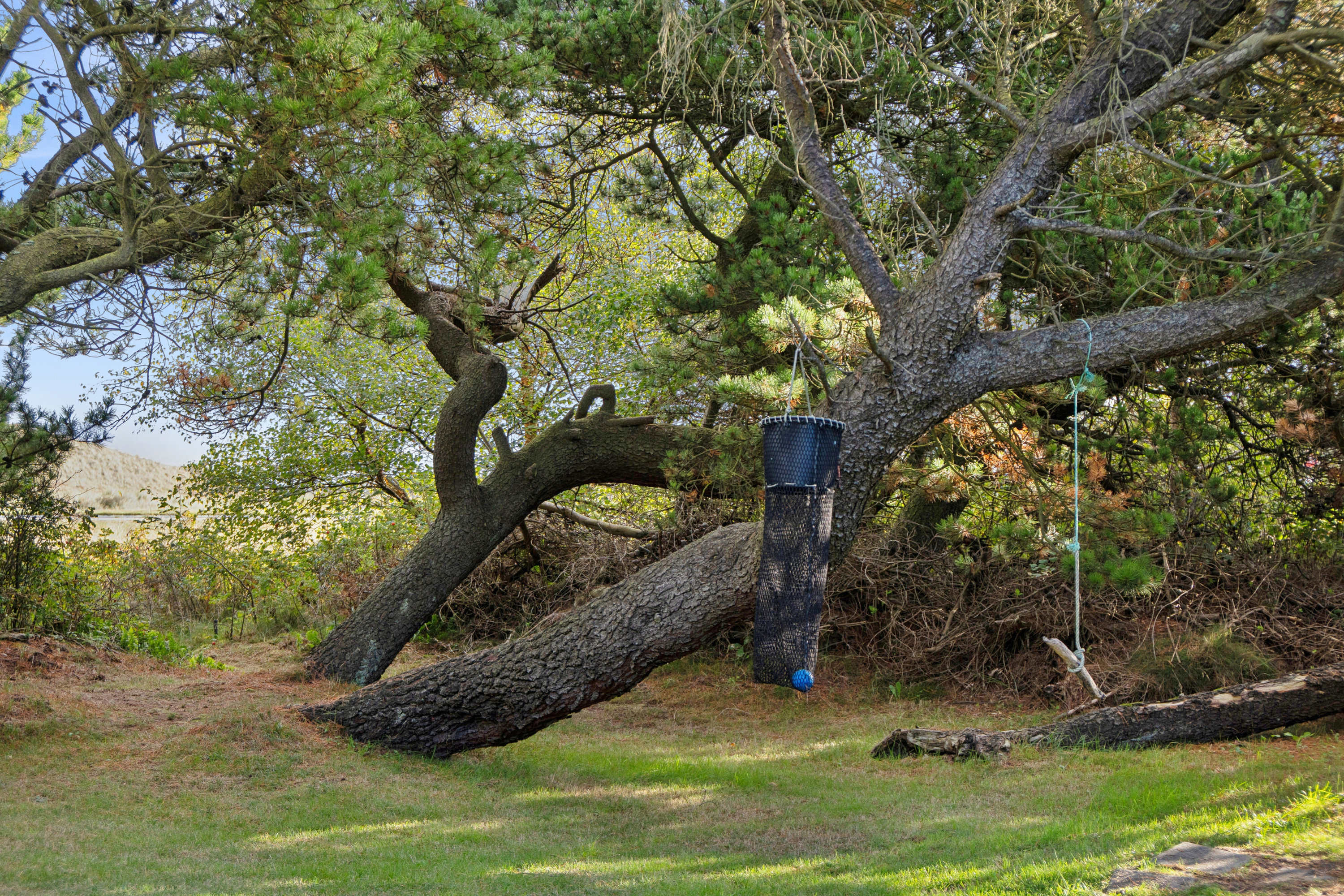 Fremhævet set fra haven billede i fuldskærmstilstand. Billede af Ørhagevej 4, Klitmøller, 7700 Thisted