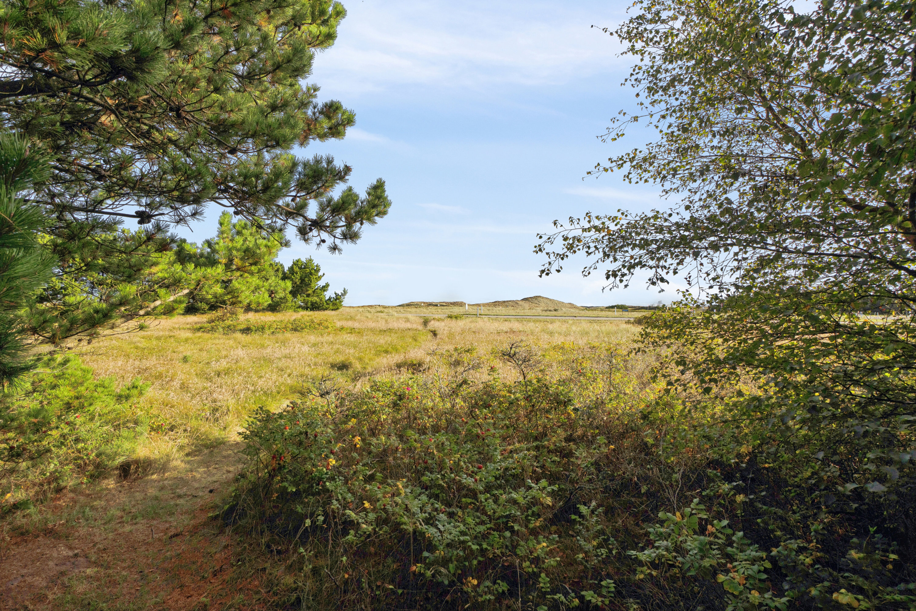 Fremhævet have billede i fuldskærmstilstand. Billede af Ørhagevej 4, Klitmøller, 7700 Thisted