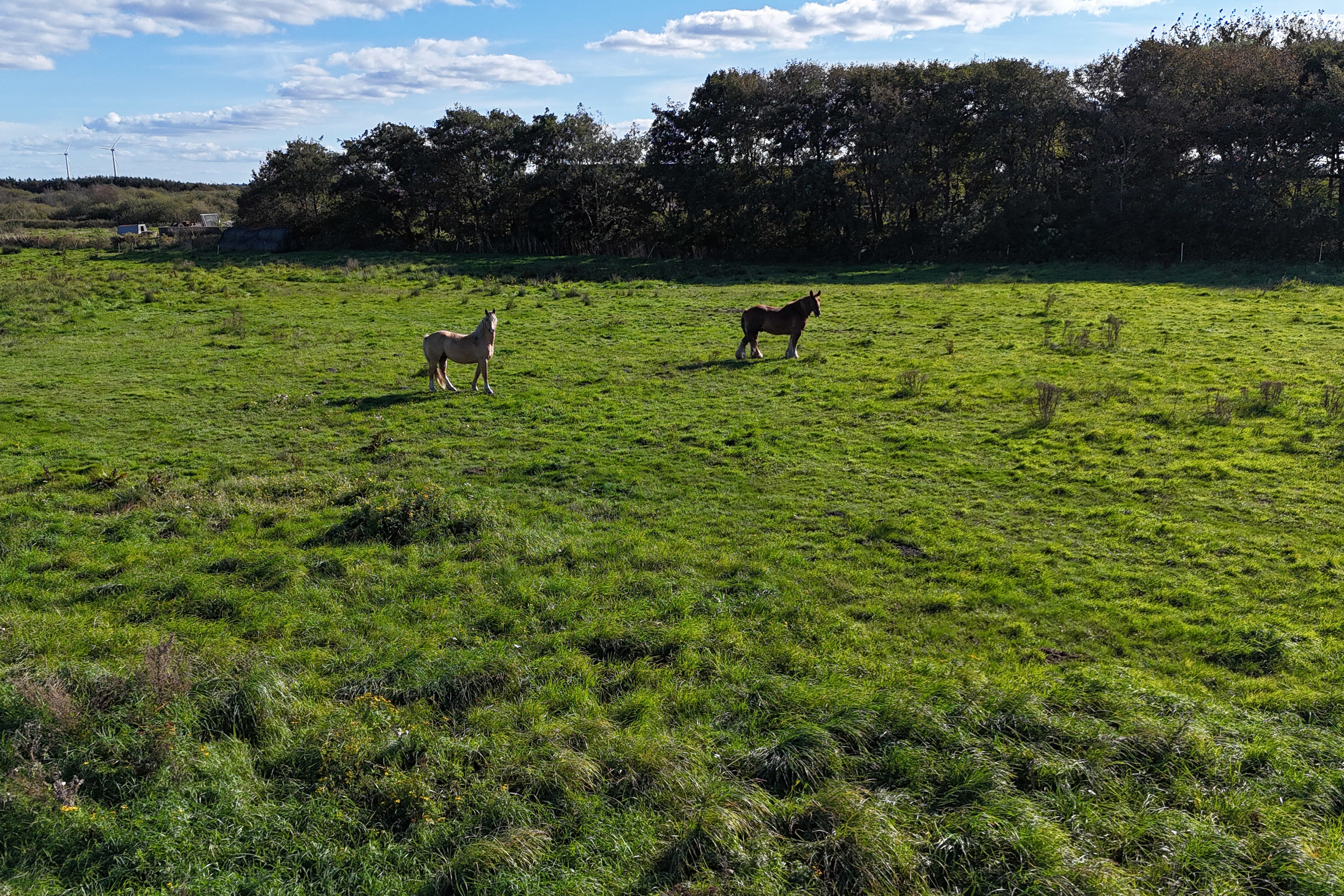 Fremhævet andet billede i fuldskærmstilstand. Billede af Bækbyvej 7, Skalstrup, 7570 Vemb