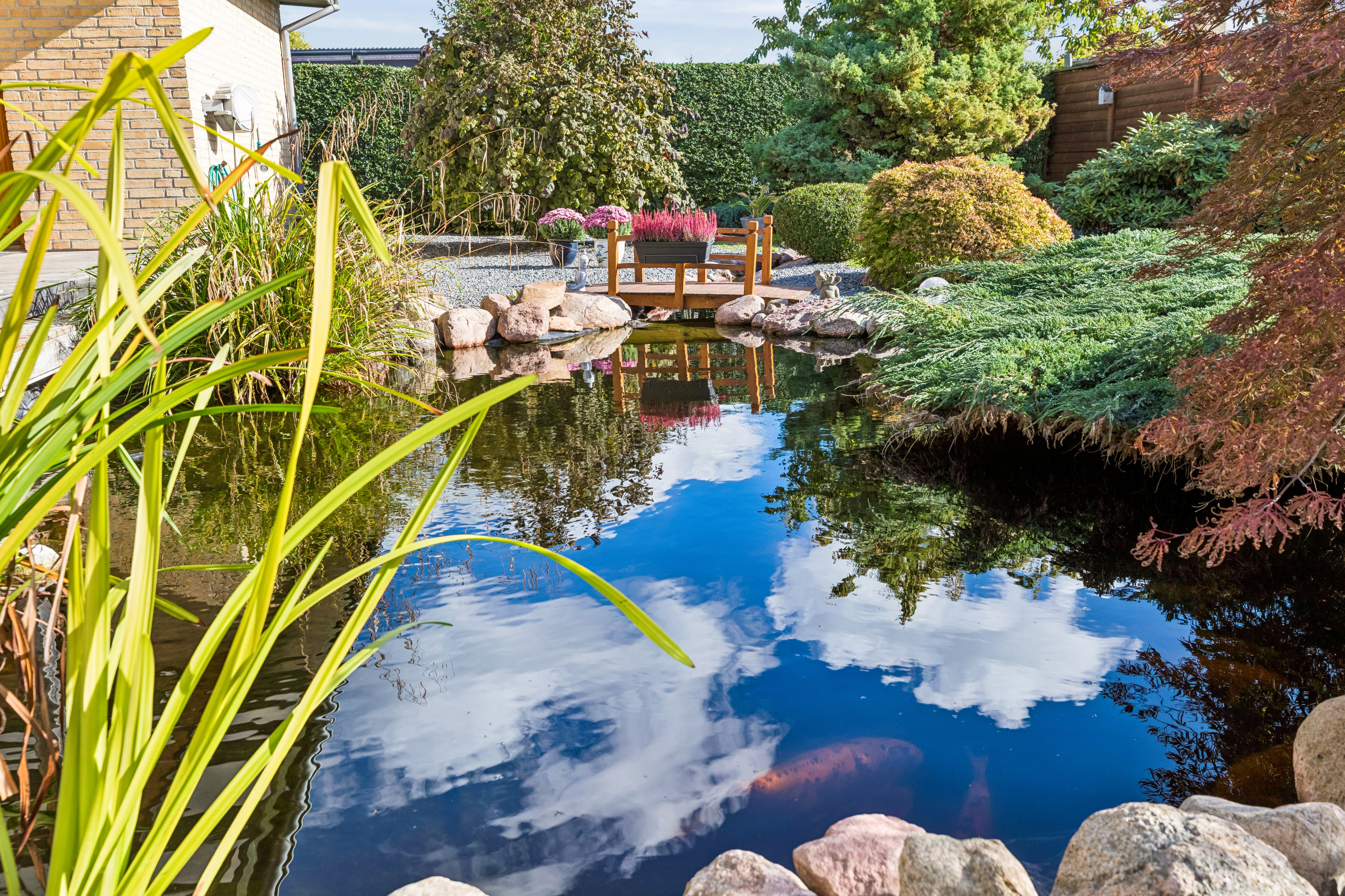 Villa: Have på Bredekærs Vænge 211, 2635 Ishøj