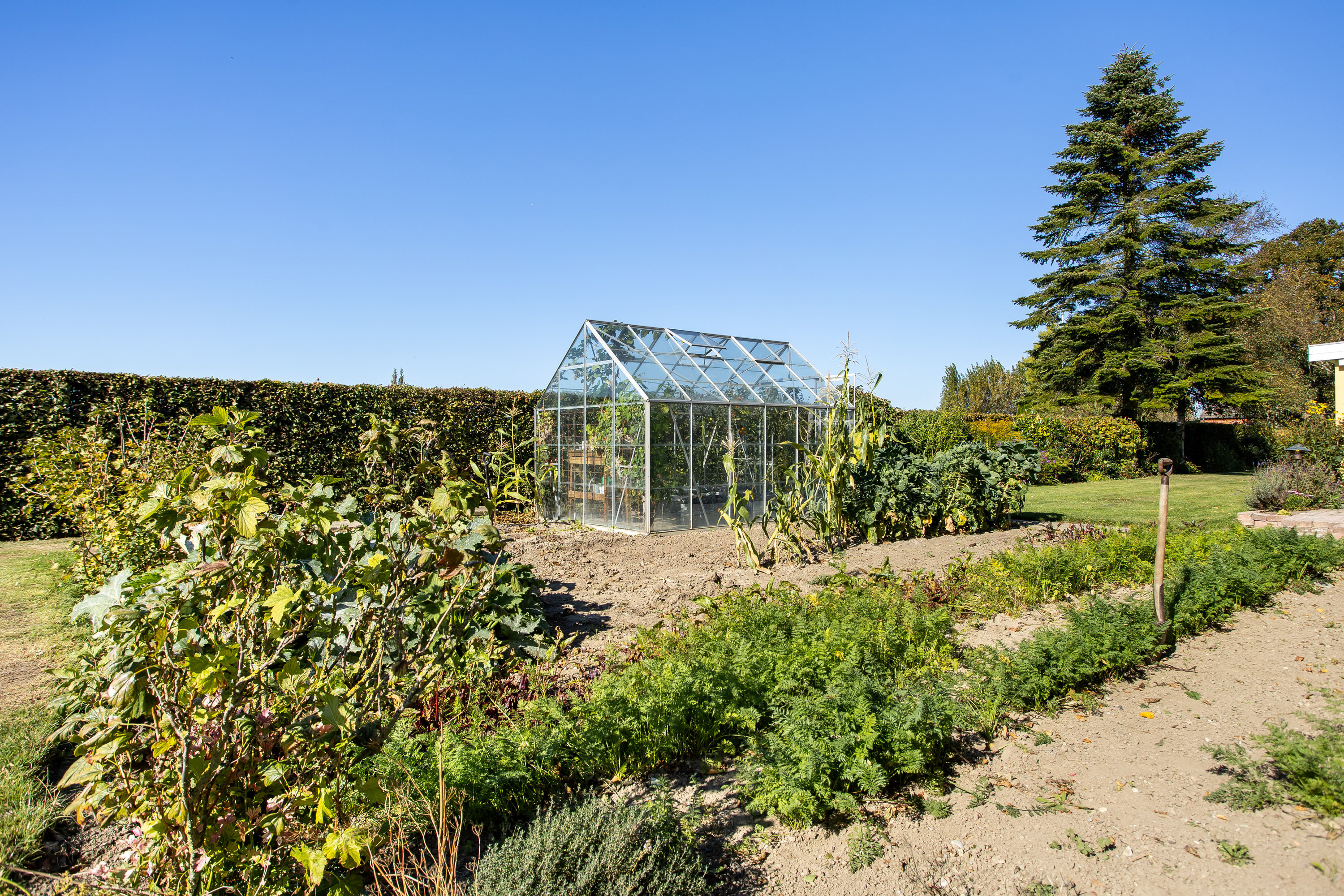Fremhævet have billede i fuldskærmstilstand. Billede af Sognevejen 6, Olstrup, 4895 Errindlev