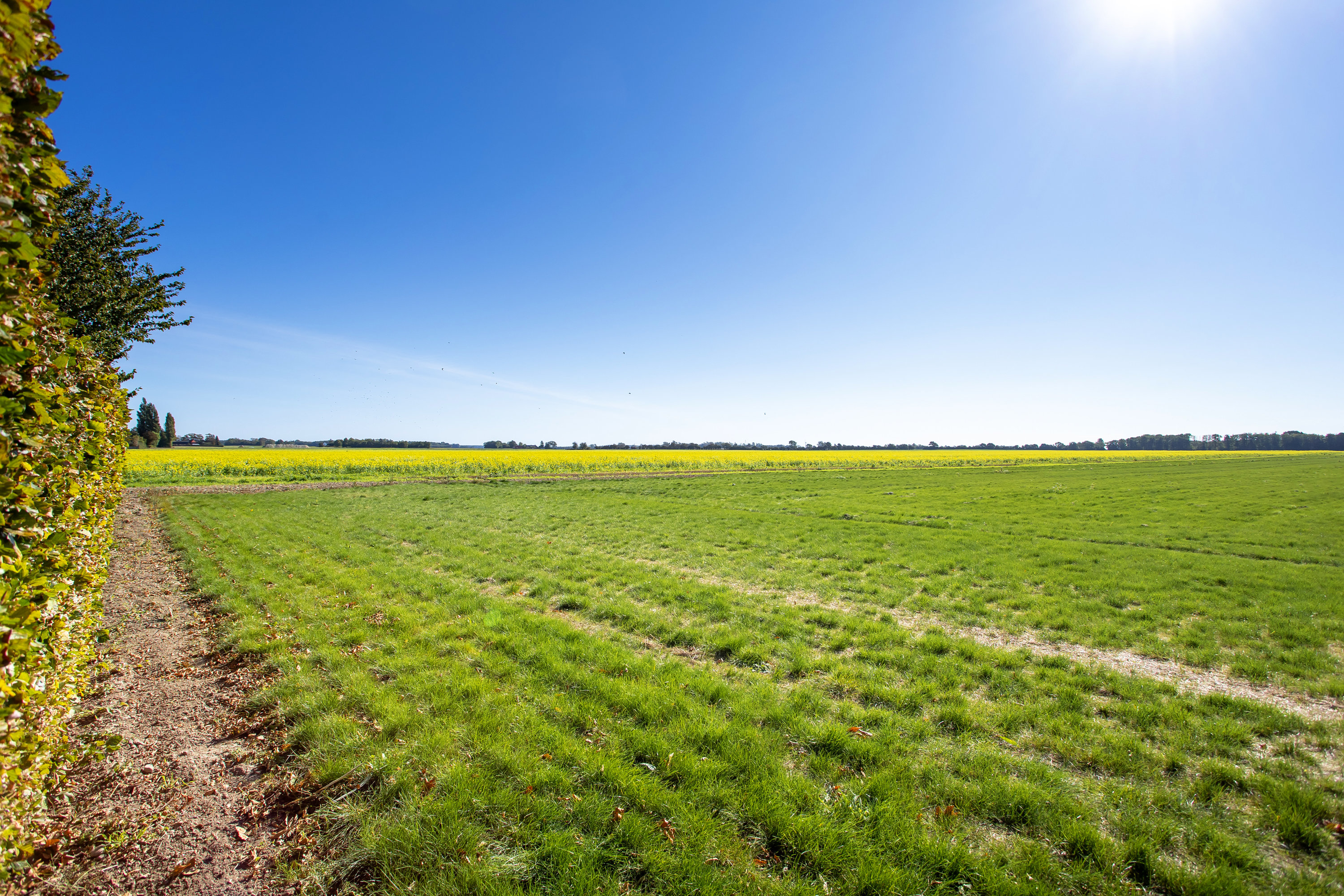 Fremhævet udsigt billede i fuldskærmstilstand. Billede af Sognevejen 6, Olstrup, 4895 Errindlev