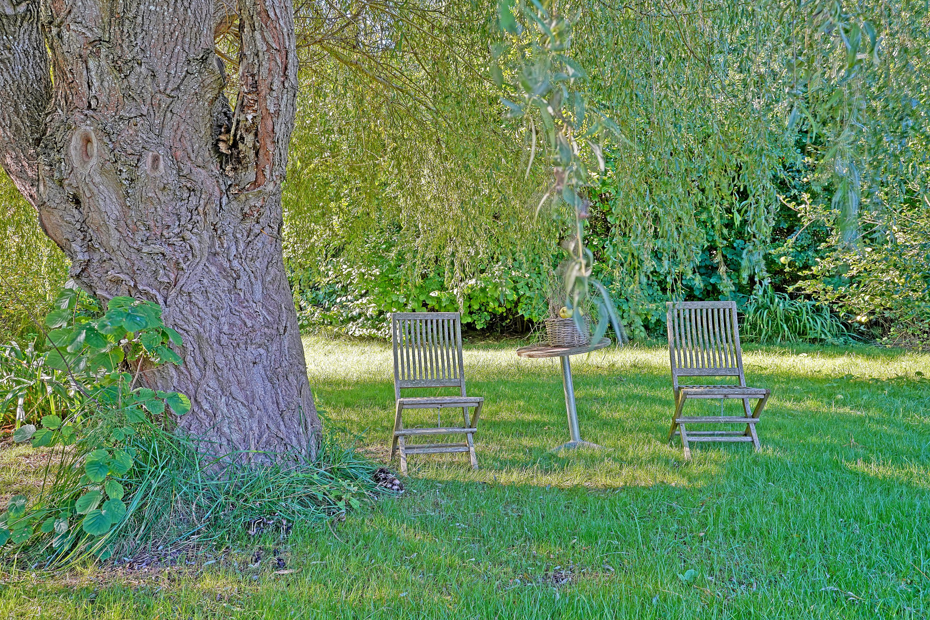 Miniaturebillede 2: have. Billede af Ledgårdsvej 18, 3100 Hornbæk