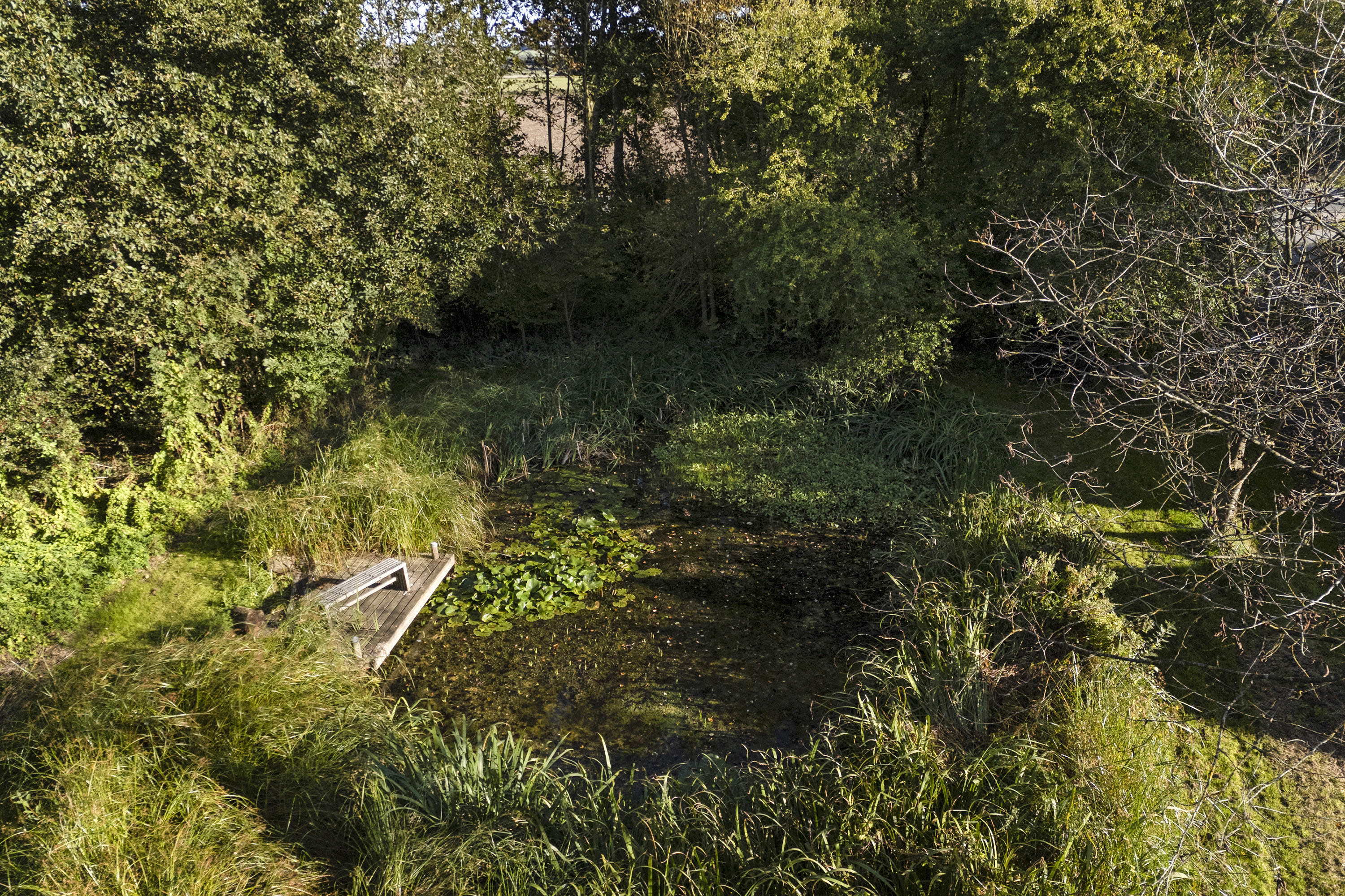 Fremhævet have billede i fuldskærmstilstand. Billede af Slagelse Landevej 141, 4241 Vemmelev