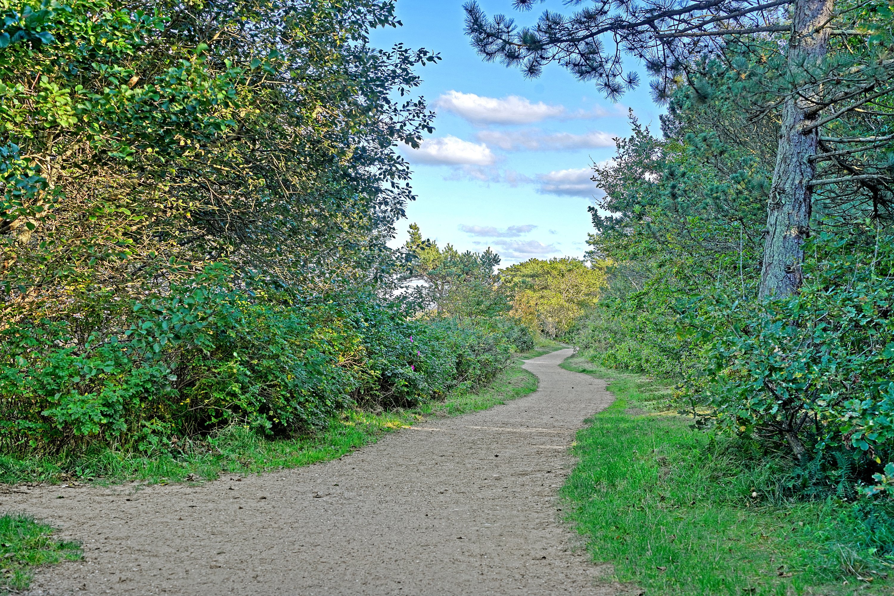 Fremhævet område billede i fuldskærmstilstand. Billede af Kildevænget 6, Kildekrog, 3100 Hornbæk