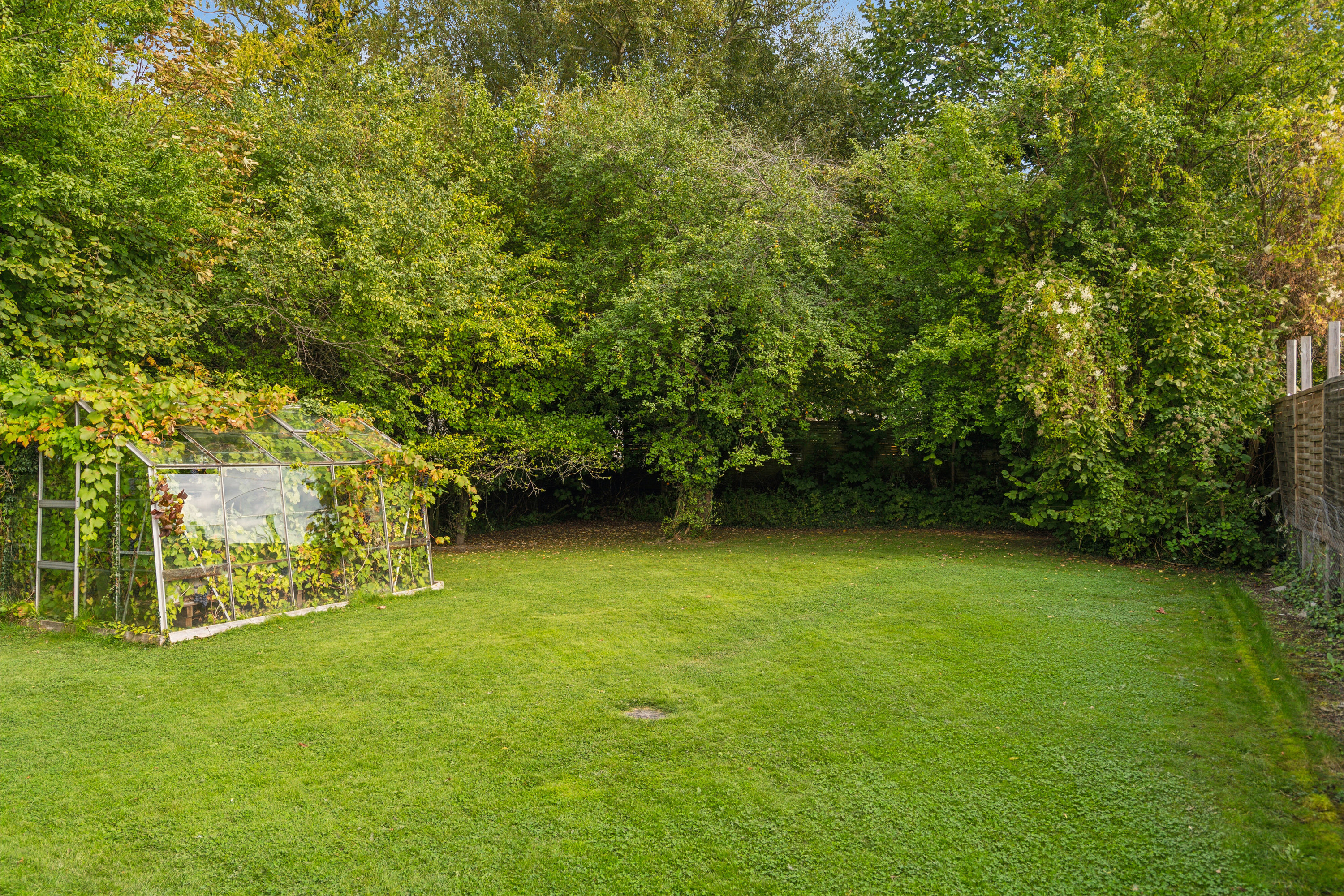 Fremhævet have billede i fuldskærmstilstand. Billede af Lumbyvej 55, 5000 Odense C