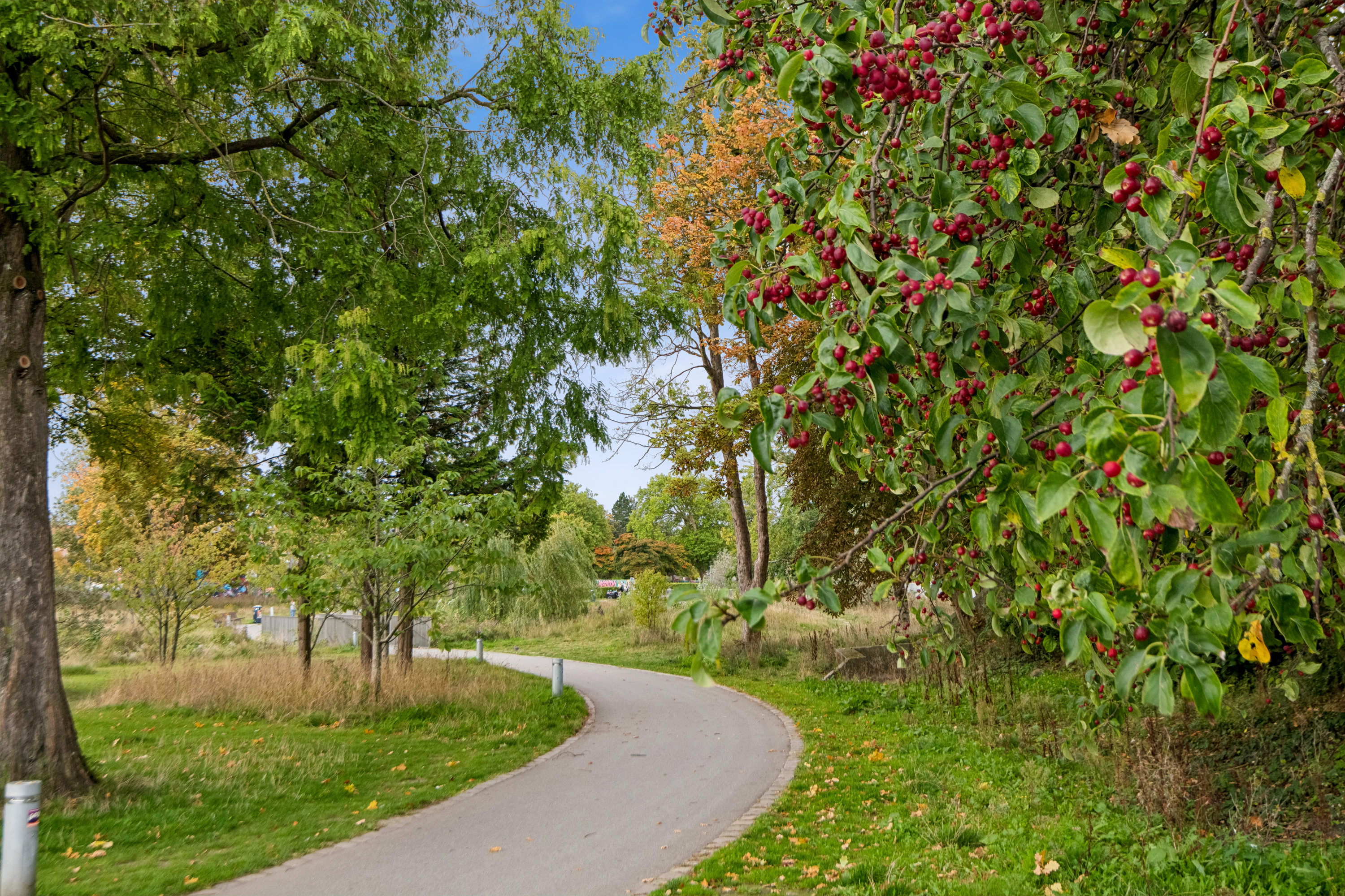 Fremhævet område billede i fuldskærmstilstand. Billede af Østerbro 22, 2. tv., 9000 Aalborg