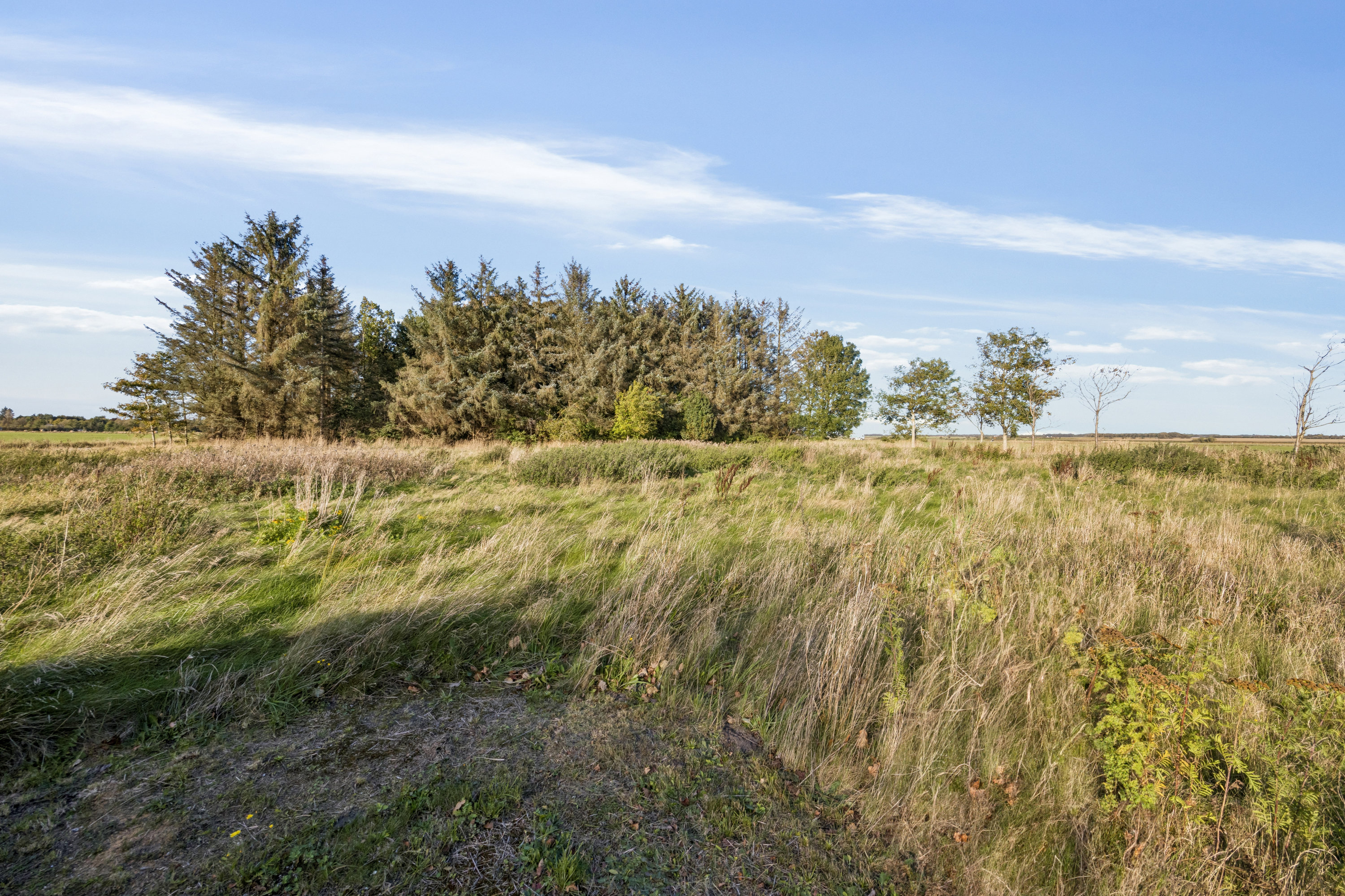 Fremhævet ejendom 1 billede i fuldskærmstilstand. Billede af Tranekærvej 25, Kaas, 9490 Pandrup