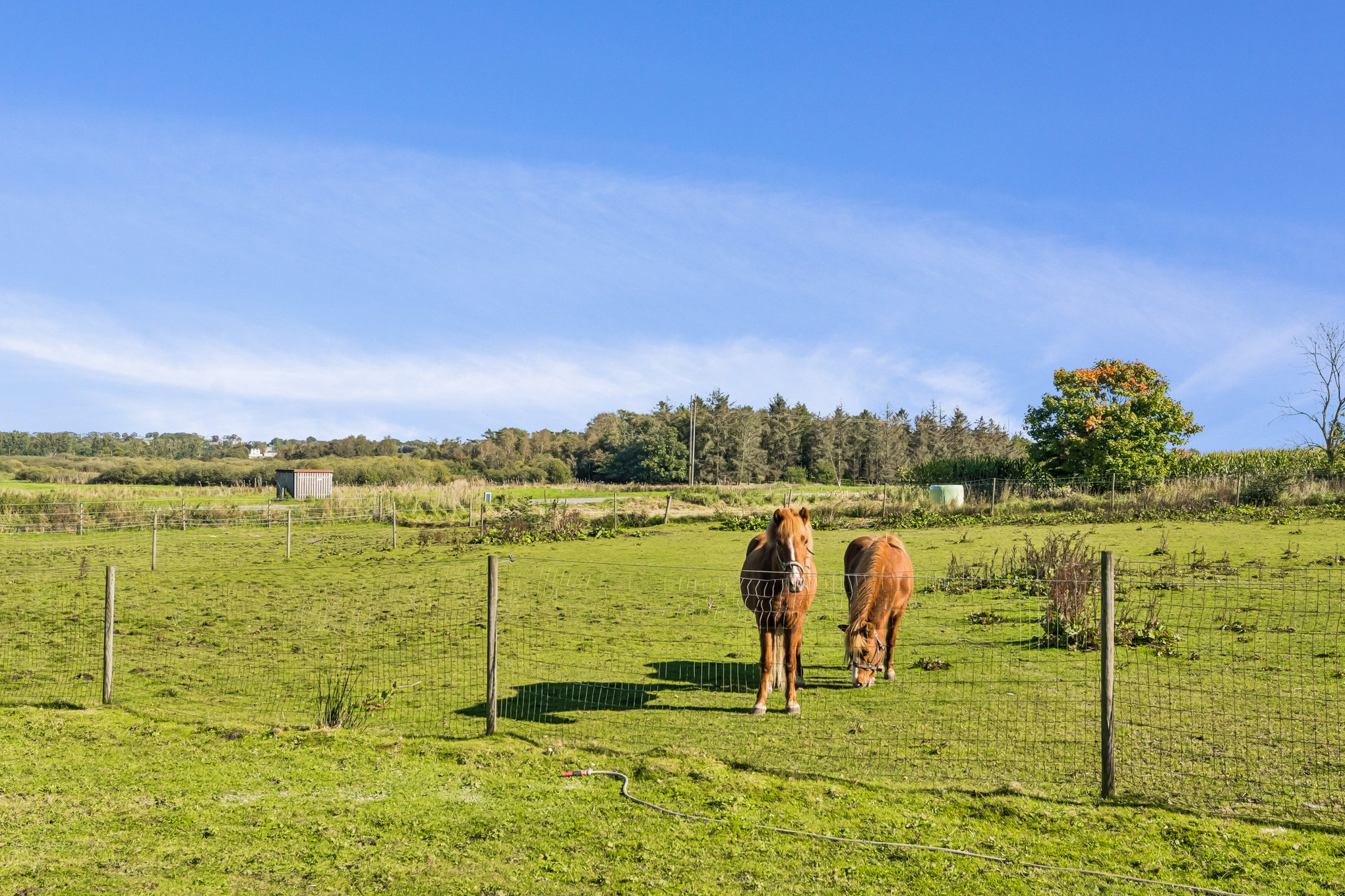 Fremhævet ejendom 1 billede i fuldskærmstilstand. Billede af Åsdalen 1, Nørbæk, 8990 Fårup