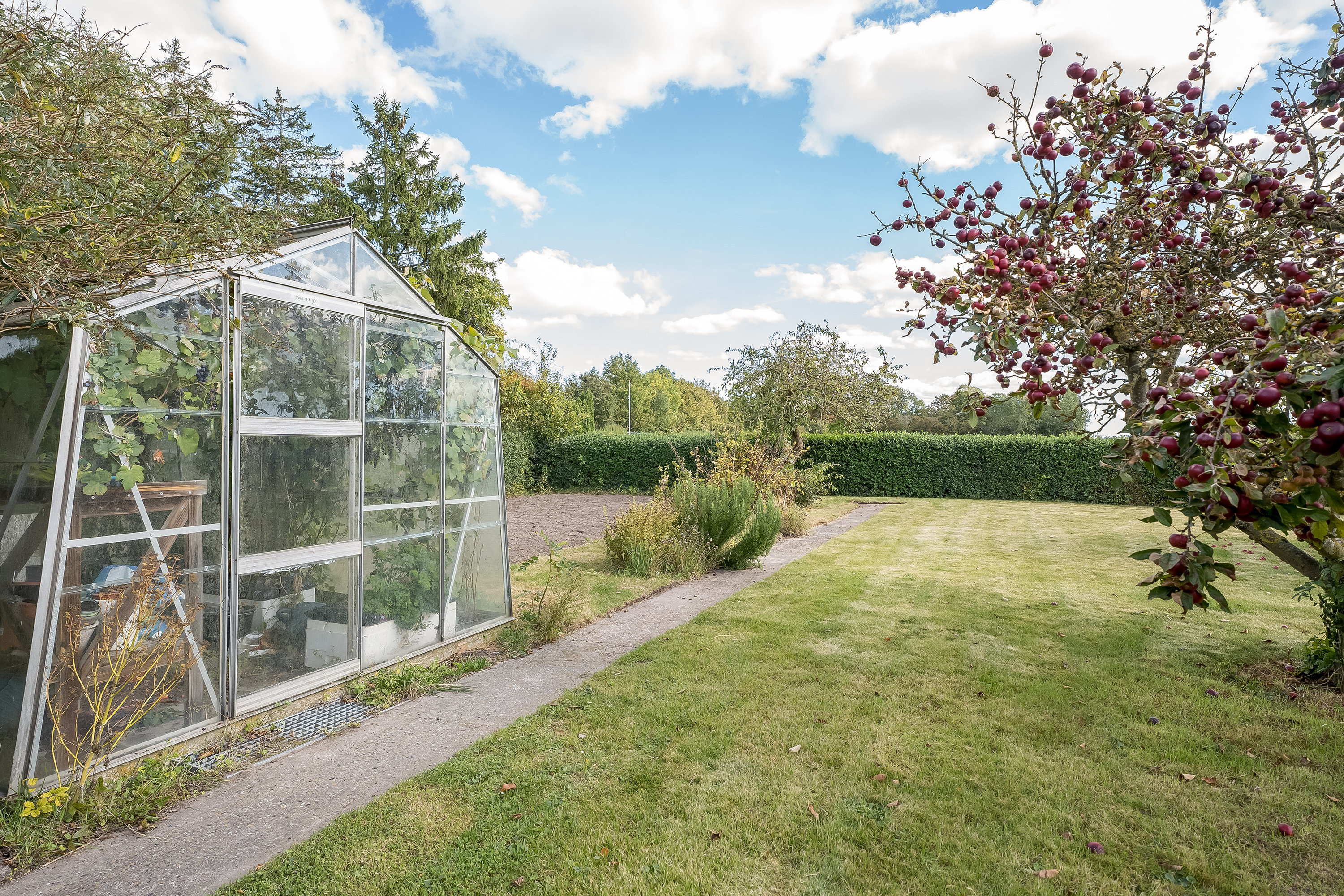 Fremhævet have billede i fuldskærmstilstand. Billede af Østervej 3, 4983 Dannemare