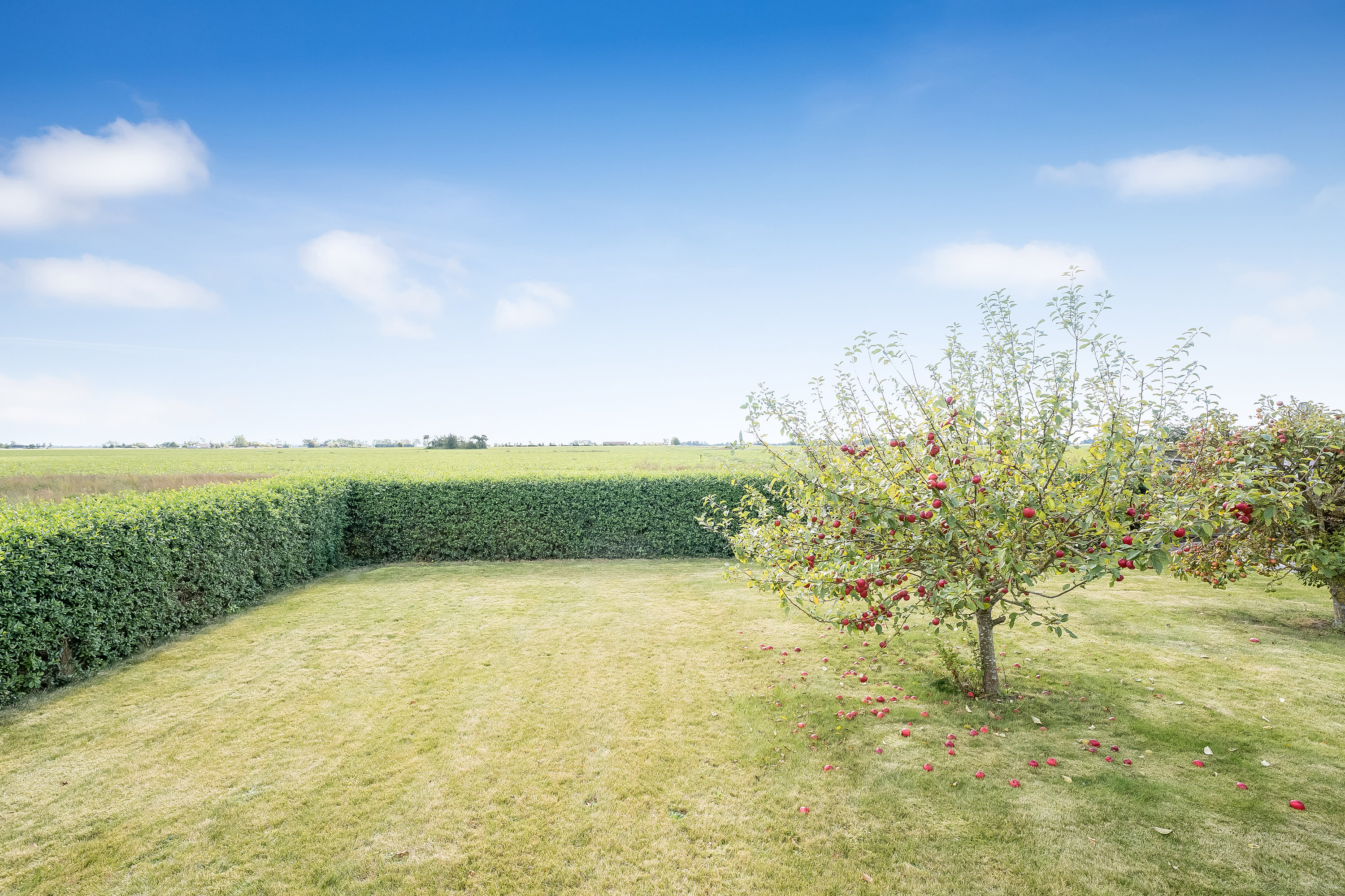 Fremhævet have billede i fuldskærmstilstand. Billede af Østervej 3, 4983 Dannemare