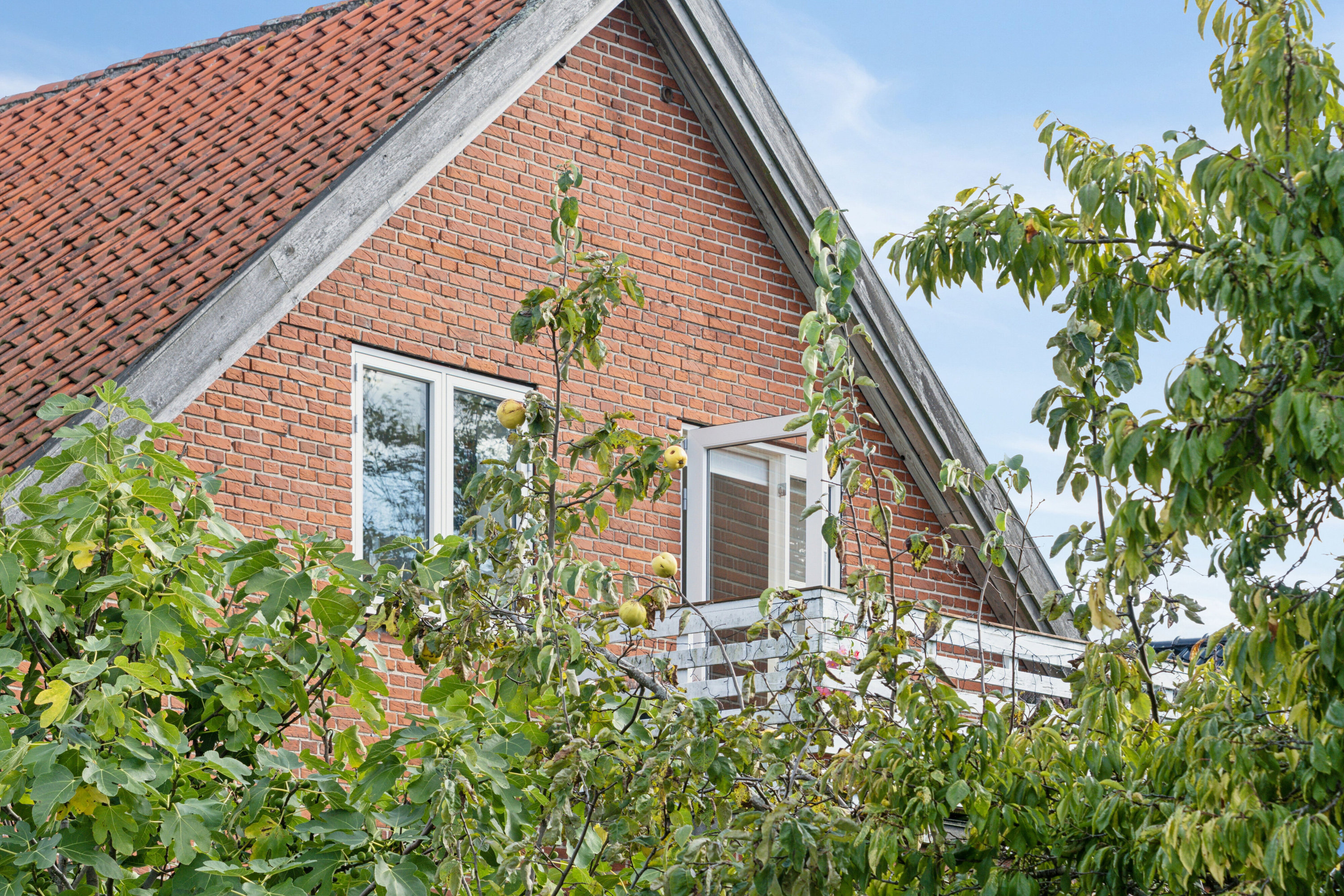 Fremhævet udendørs billede i fuldskærmstilstand. Billede af Himmelkol 1, 1., 2610 Rødovre