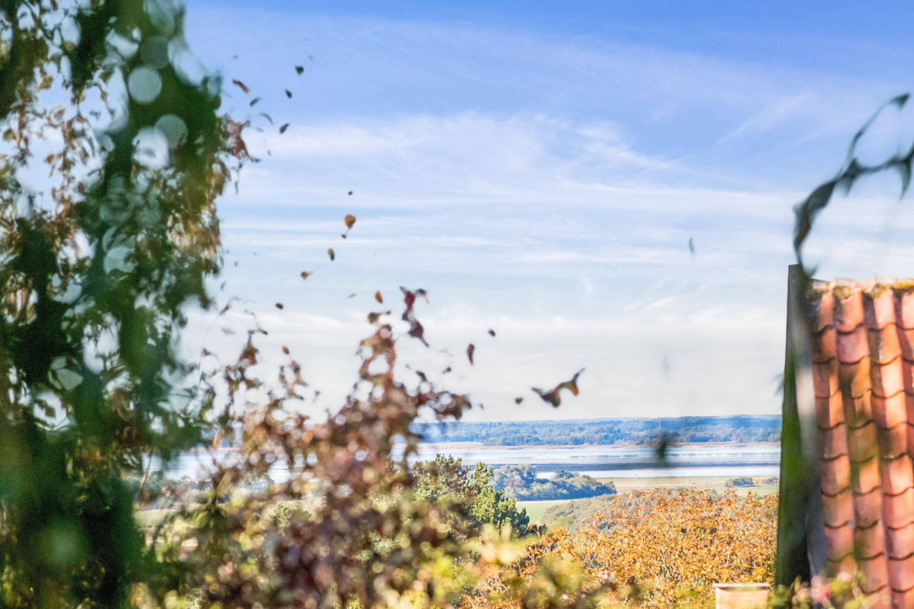 Fremhævet terrasse billede i fuldskærmstilstand. Billede af Bakkevænget 20, Hasseris, 9000 Aalborg