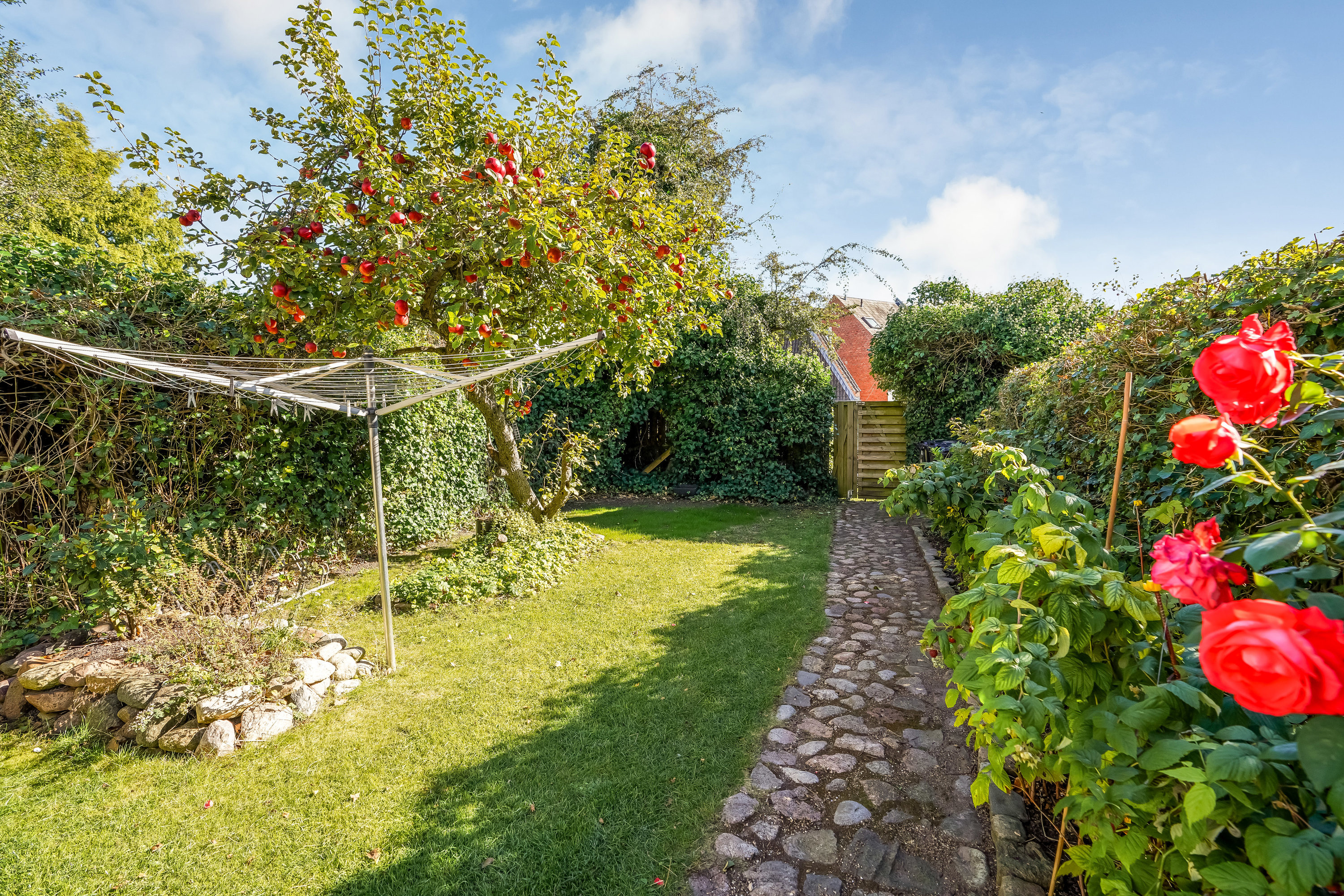 Fremhævet have billede i fuldskærmstilstand. Billede af Jens Benzons Gade 22, 5000 Odense C