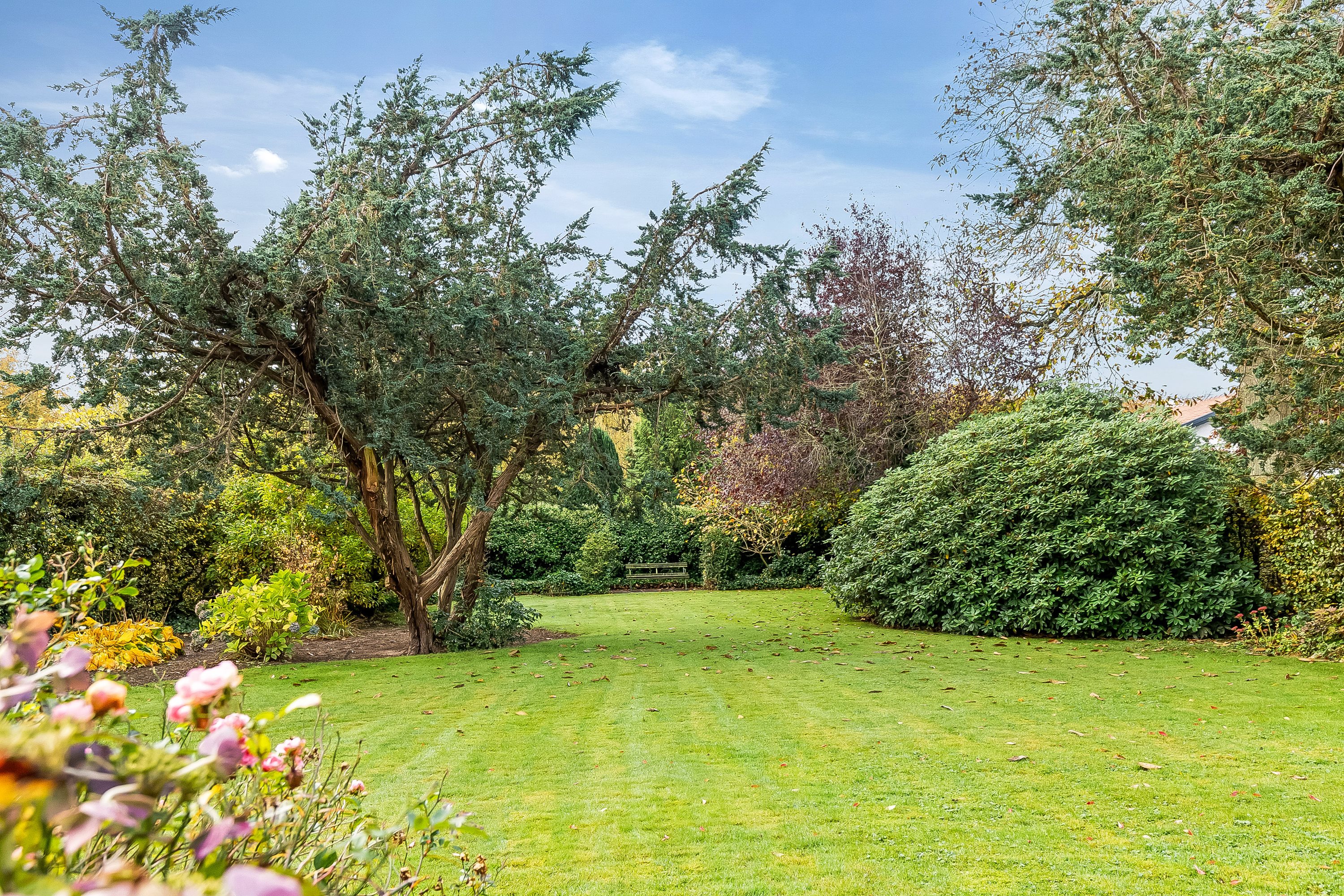 Fremhævet have billede i fuldskærmstilstand. Billede af Fredericiavej 52, Mølholm, 7100 Vejle