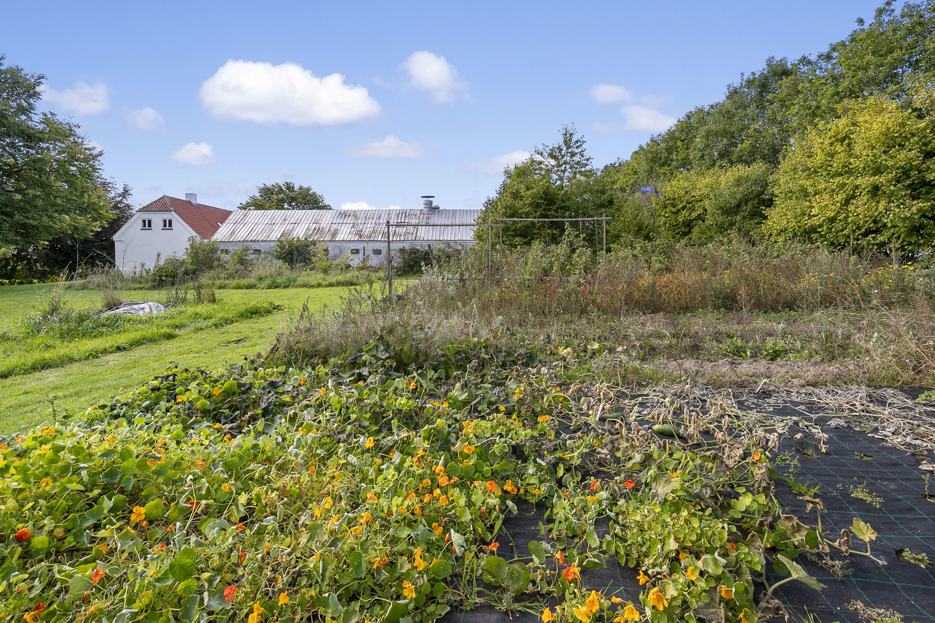 Fremhævet have billede i fuldskærmstilstand. Billede af Svoldrupvej 135, Vestrup, 9600 Aars