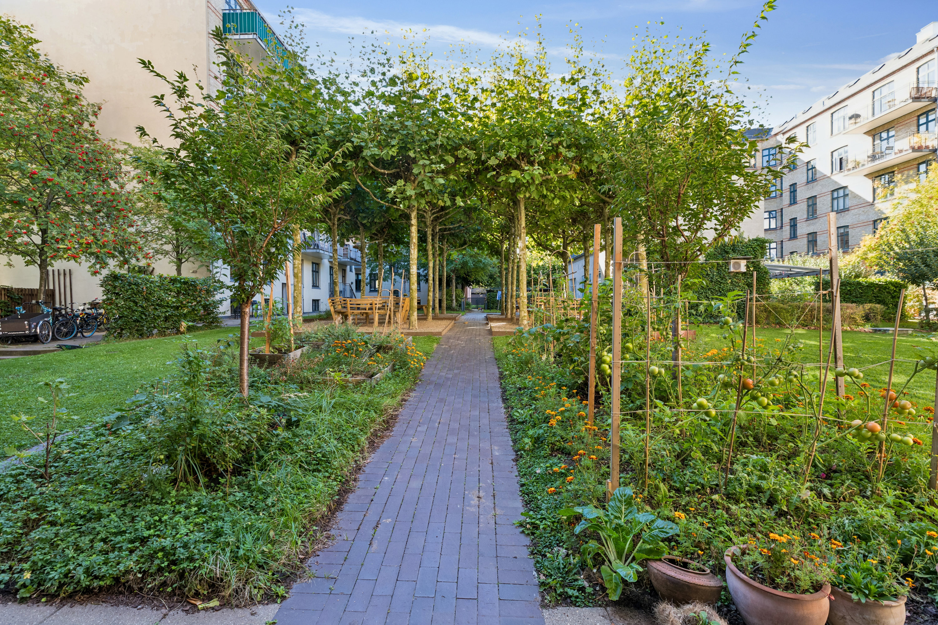 Fremhævet have billede i fuldskærmstilstand. Billede af Langelandsvej 51, st.. th., 2000 Frederiksberg