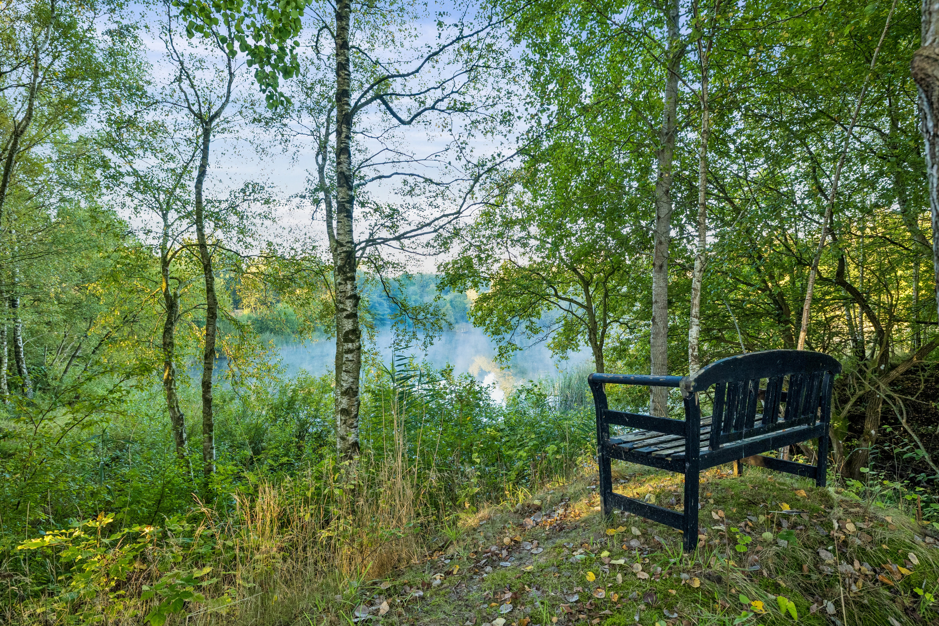Fremhævet have billede i fuldskærmstilstand. Billede af Granvænget 15, 8990 Fårup