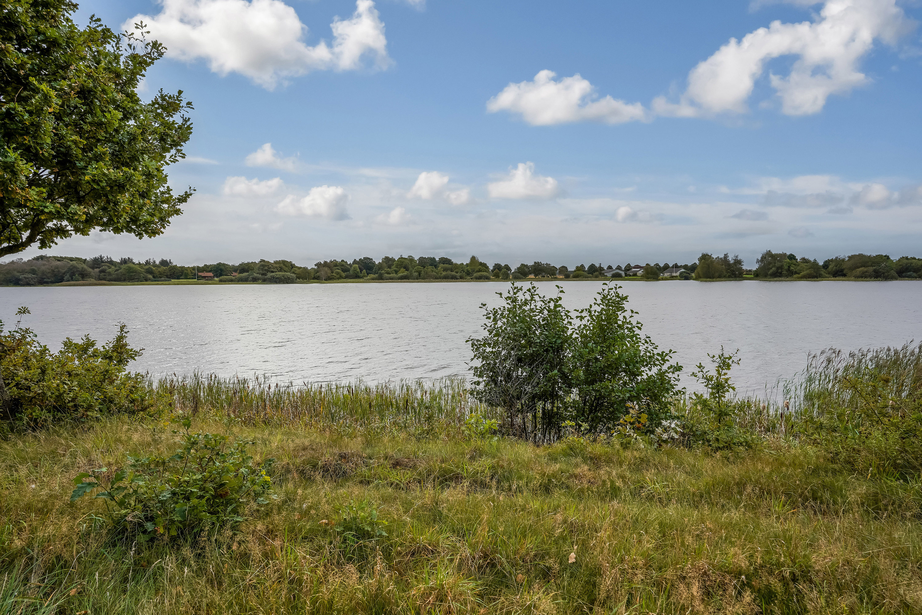 Fremhævet område billede i fuldskærmstilstand. Billede af Engsøparken 203, 7200 Grindsted