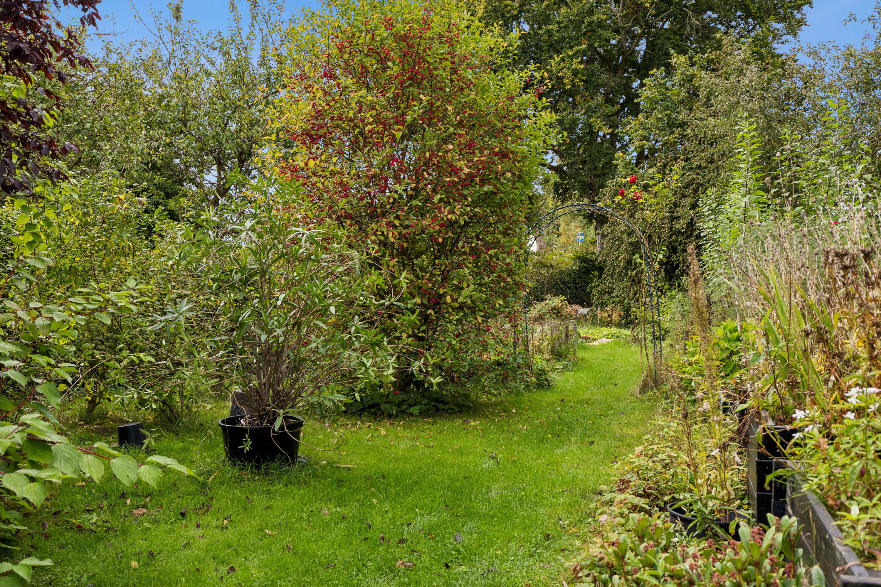 Fremhævet have billede i fuldskærmstilstand. Billede af Løvenborgvej 11, 4420 Regstrup