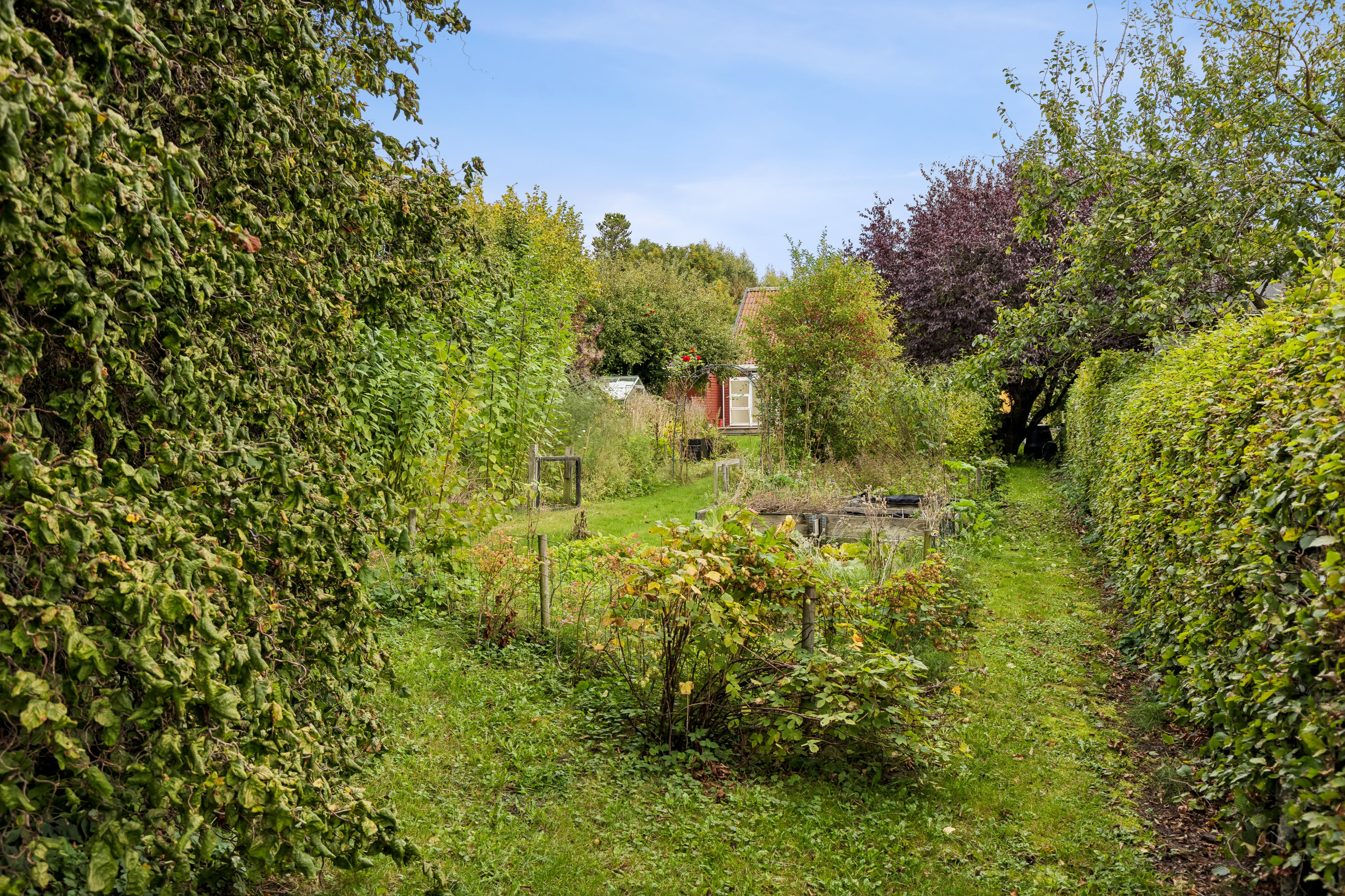 Fremhævet andet billede i fuldskærmstilstand. Billede af Løvenborgvej 11, 4420 Regstrup