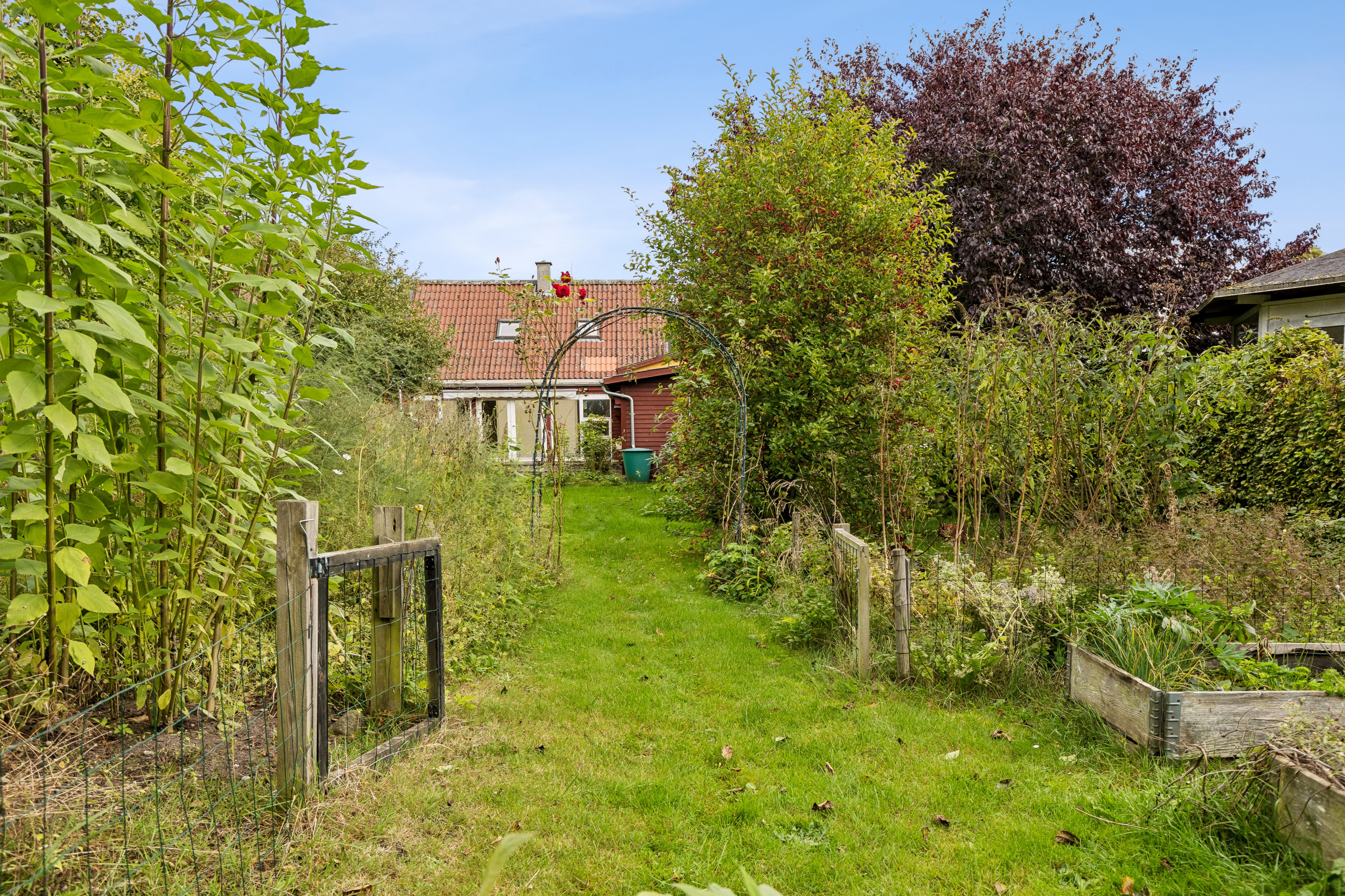 Fremhævet have billede i fuldskærmstilstand. Billede af Løvenborgvej 11, 4420 Regstrup