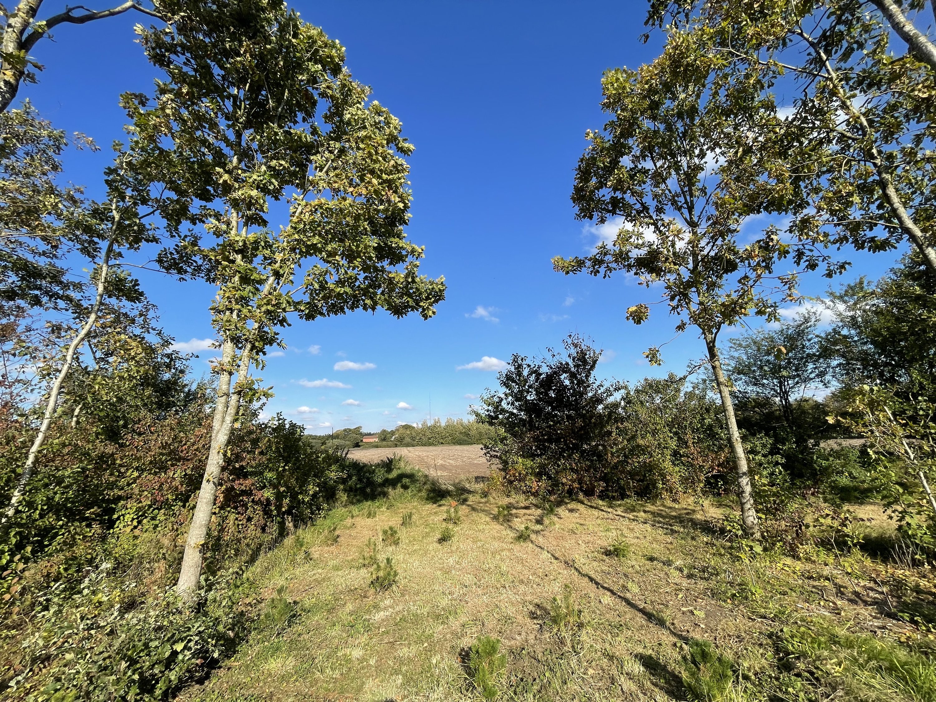 Fremhævet udsigt billede i fuldskærmstilstand. Billede af Lillebyvej 6, Brejning, 6920 Videbæk