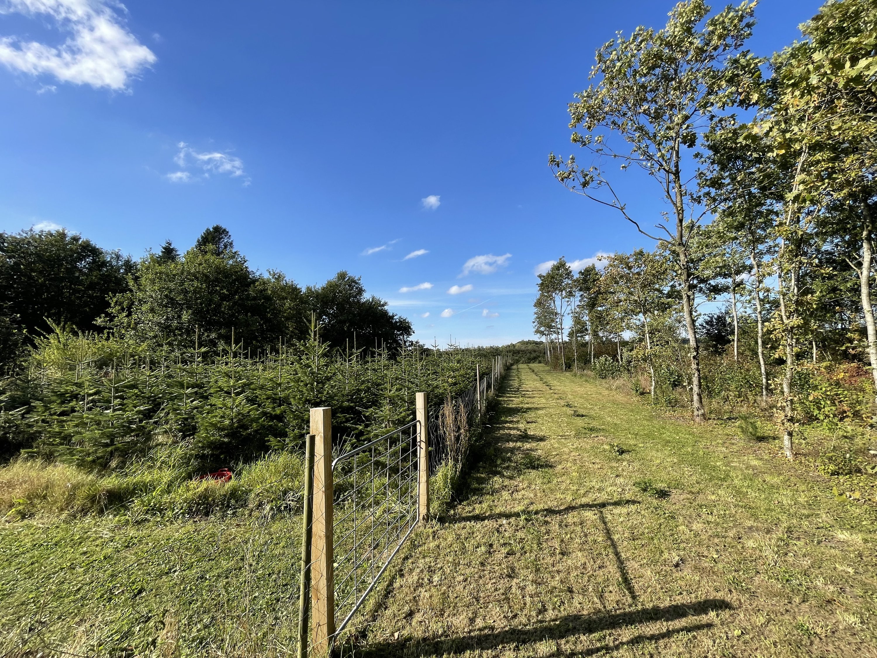 Fremhævet udendørs billede i fuldskærmstilstand. Billede af Lillebyvej 6, Brejning, 6920 Videbæk