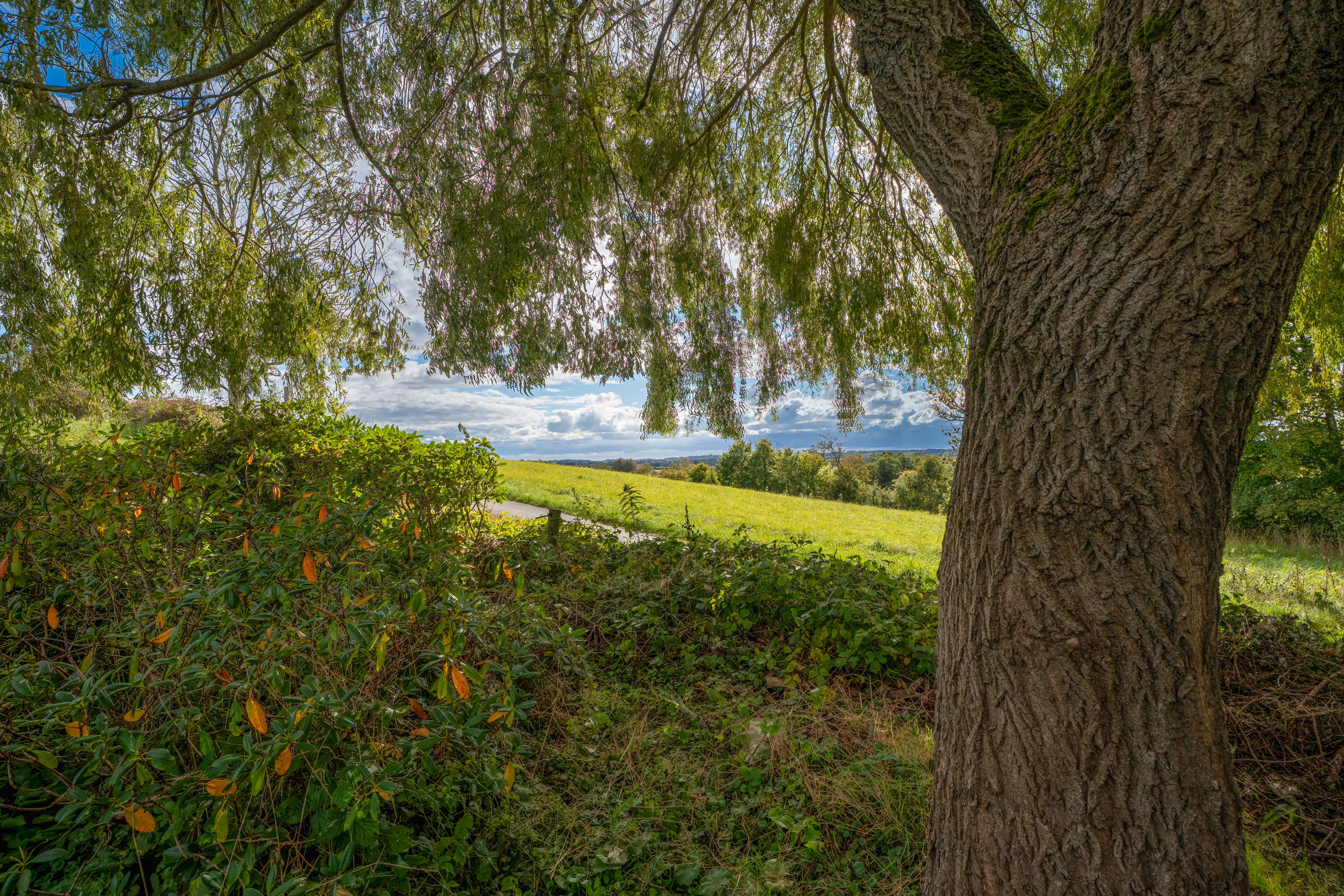 Miniaturebillede 2: . Billede af Søbovej 3, Søbo, 5683 Haarby