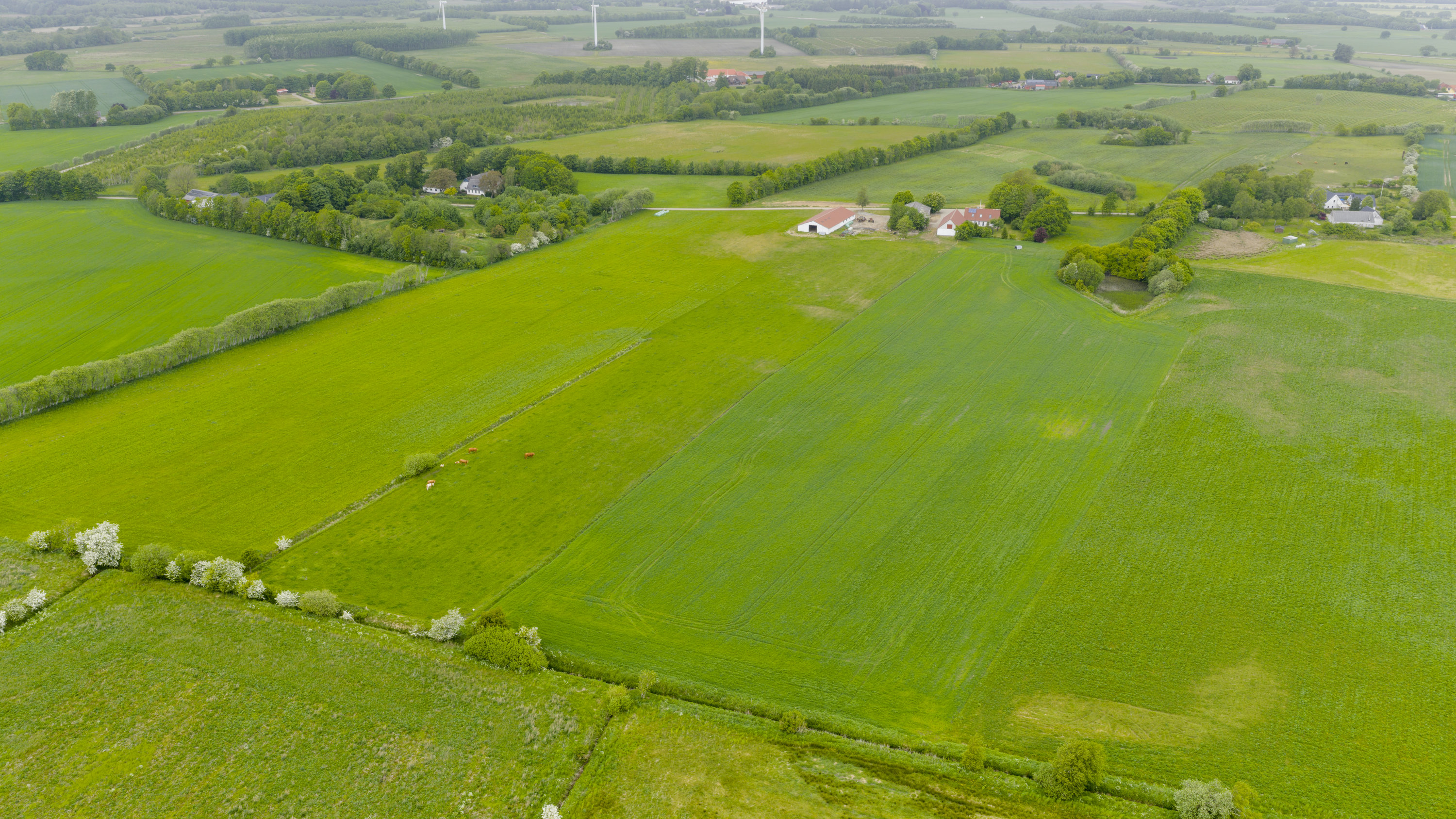 Fremhævet  billede i fuldskærmstilstand. Billede af Husmandsvej 5, 6621 Gesten