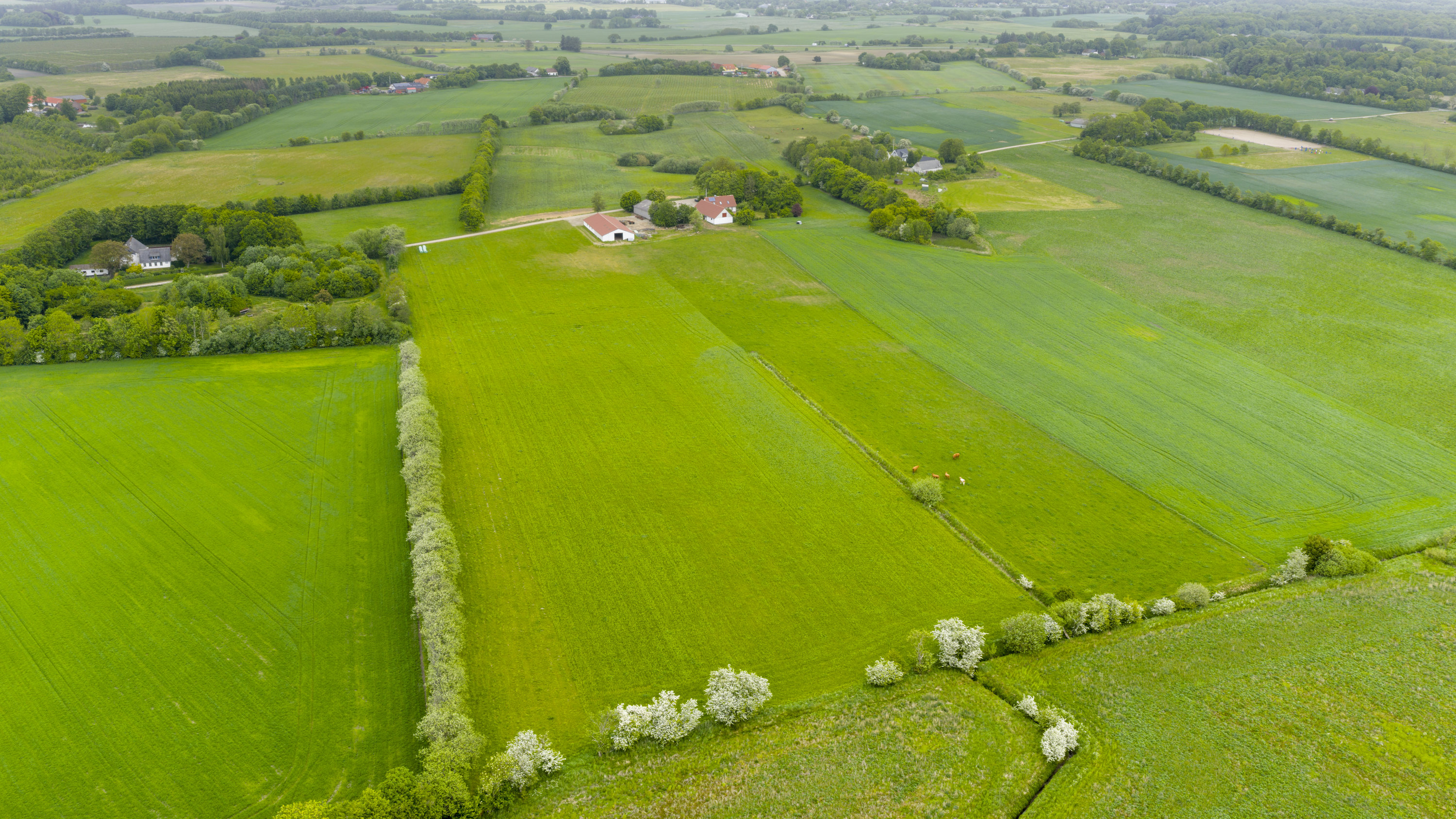Fremhævet  billede i fuldskærmstilstand. Billede af Husmandsvej 5, 6621 Gesten