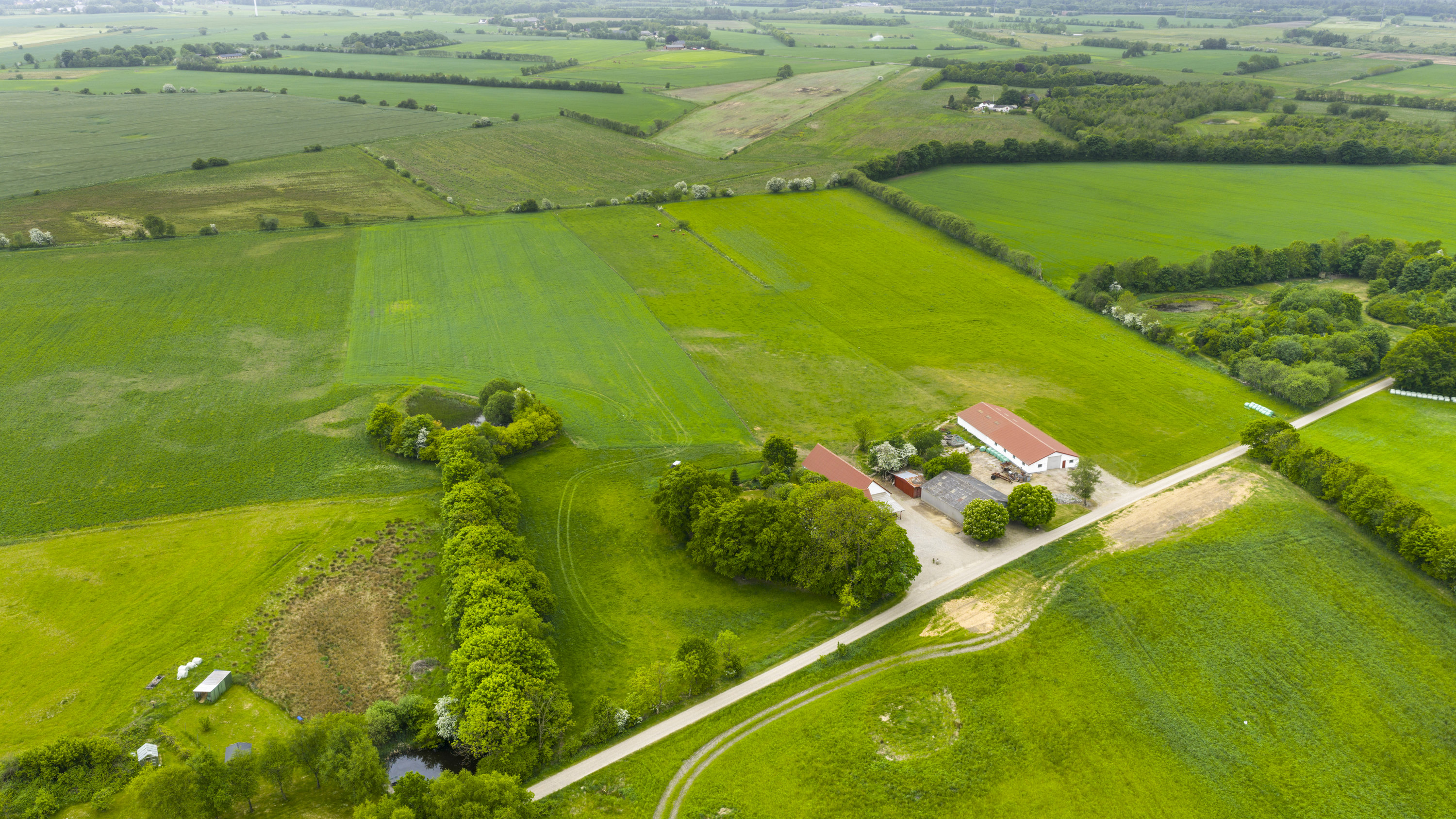Fremhævet  billede i fuldskærmstilstand. Billede af Husmandsvej 5, 6621 Gesten