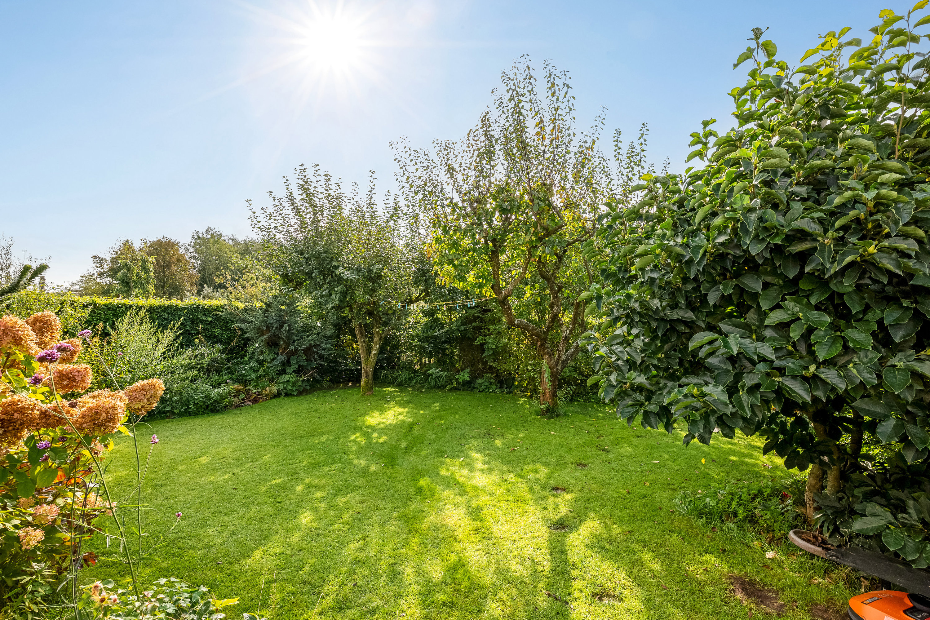 Fremhævet have billede i fuldskærmstilstand. Billede af Kobberupvej 207, Mejrup, 7500 Holstebro