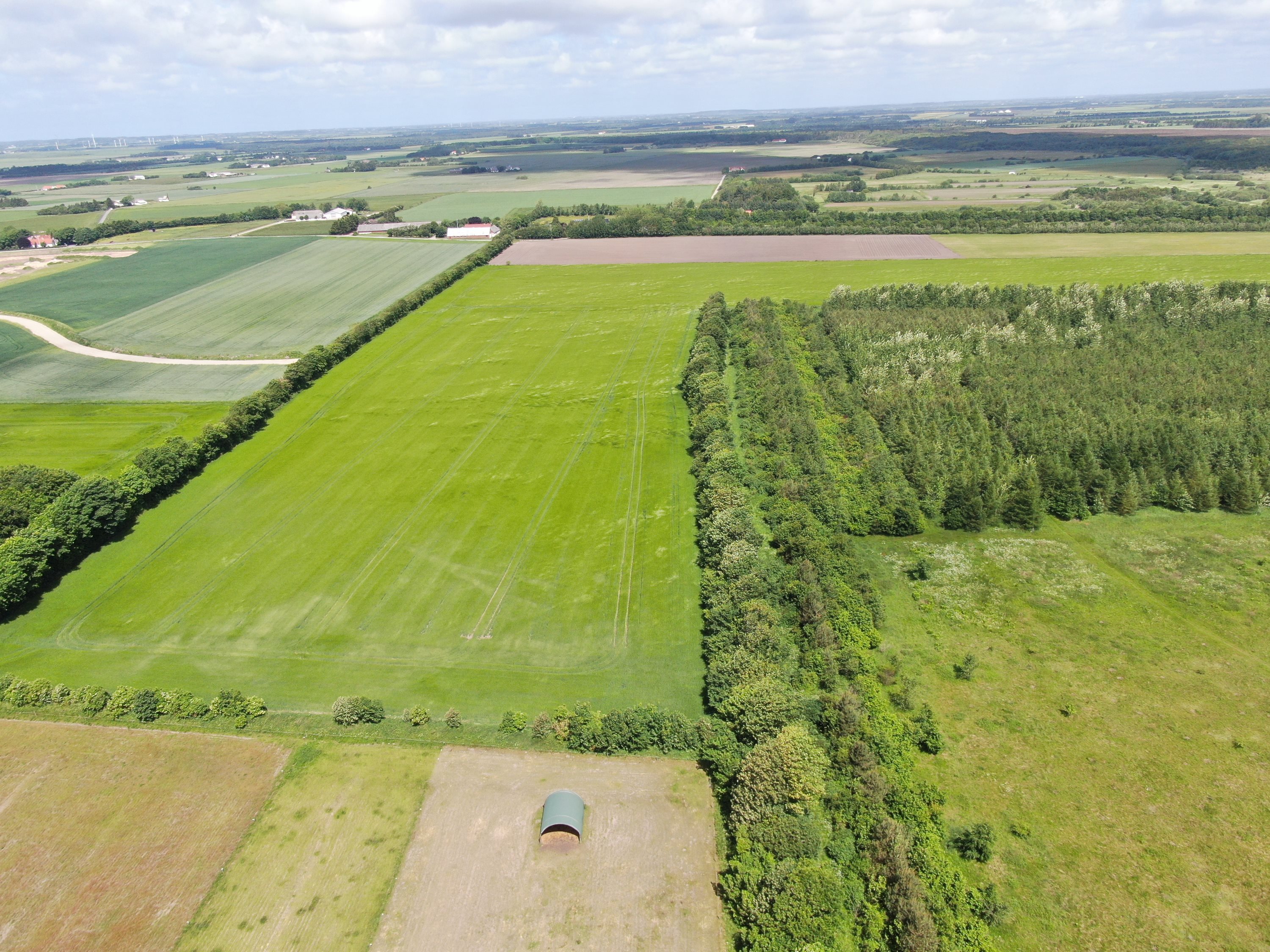 Fremhævet  billede i fuldskærmstilstand. Billede af Aaby Skovvej 26, 9440 Aabybro