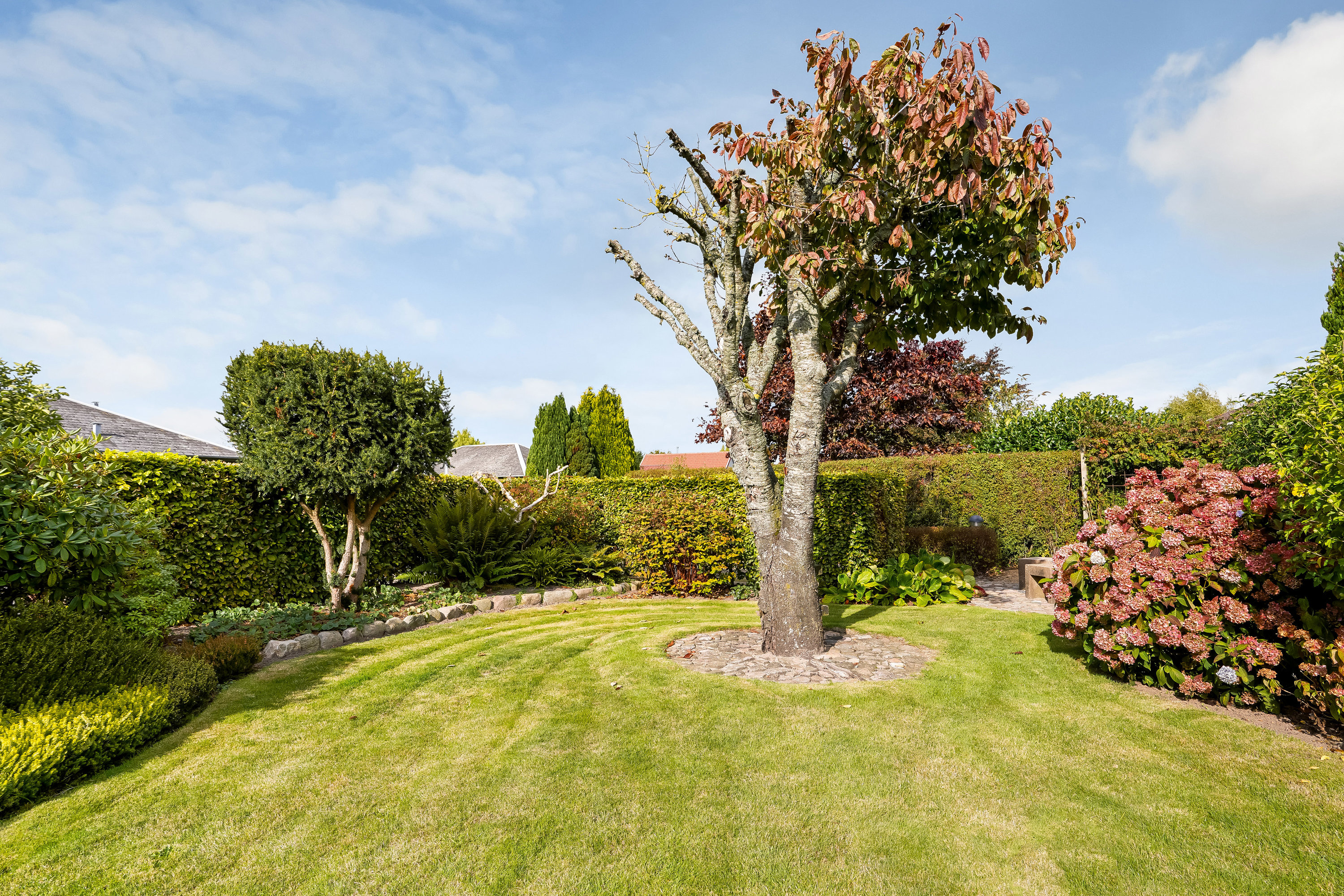Fremhævet have billede i fuldskærmstilstand. Billede af Mølleløkken 6, Gamborg, 5500 Middelfart