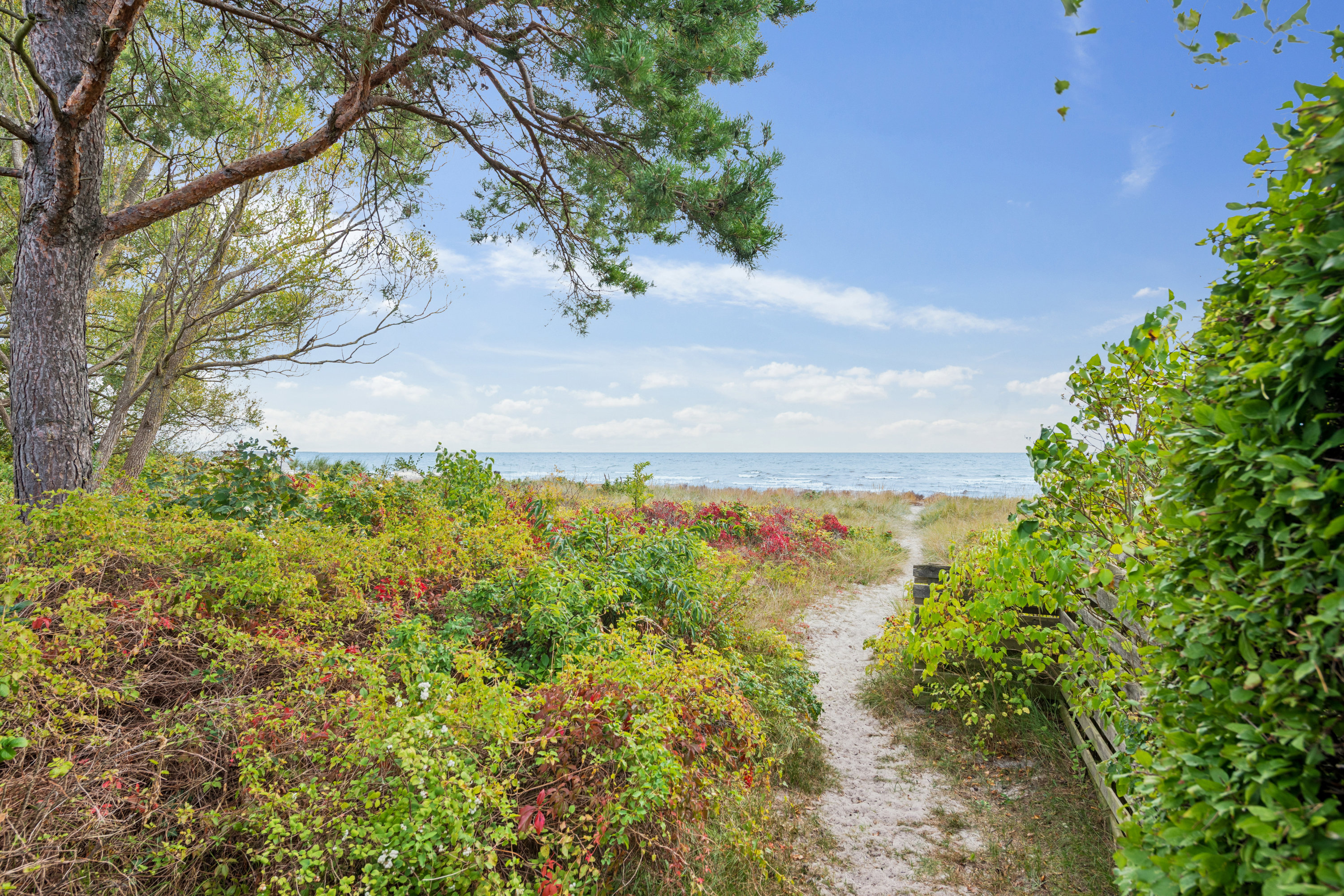 Fremhævet område billede i fuldskærmstilstand. Billede af Poppelsvinget 4, 2670 Greve