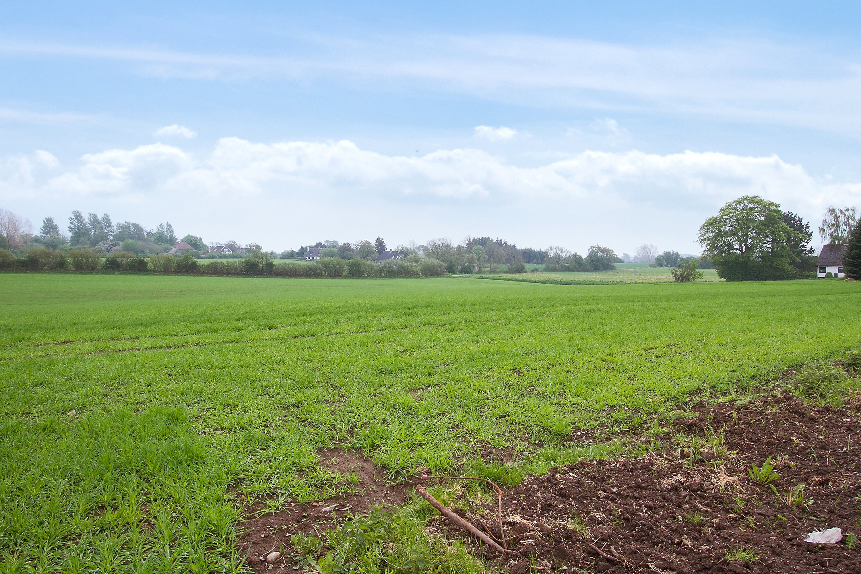 Miniaturebillede 2: . Billede af Sognevej 39, Brudager, 5883 Oure