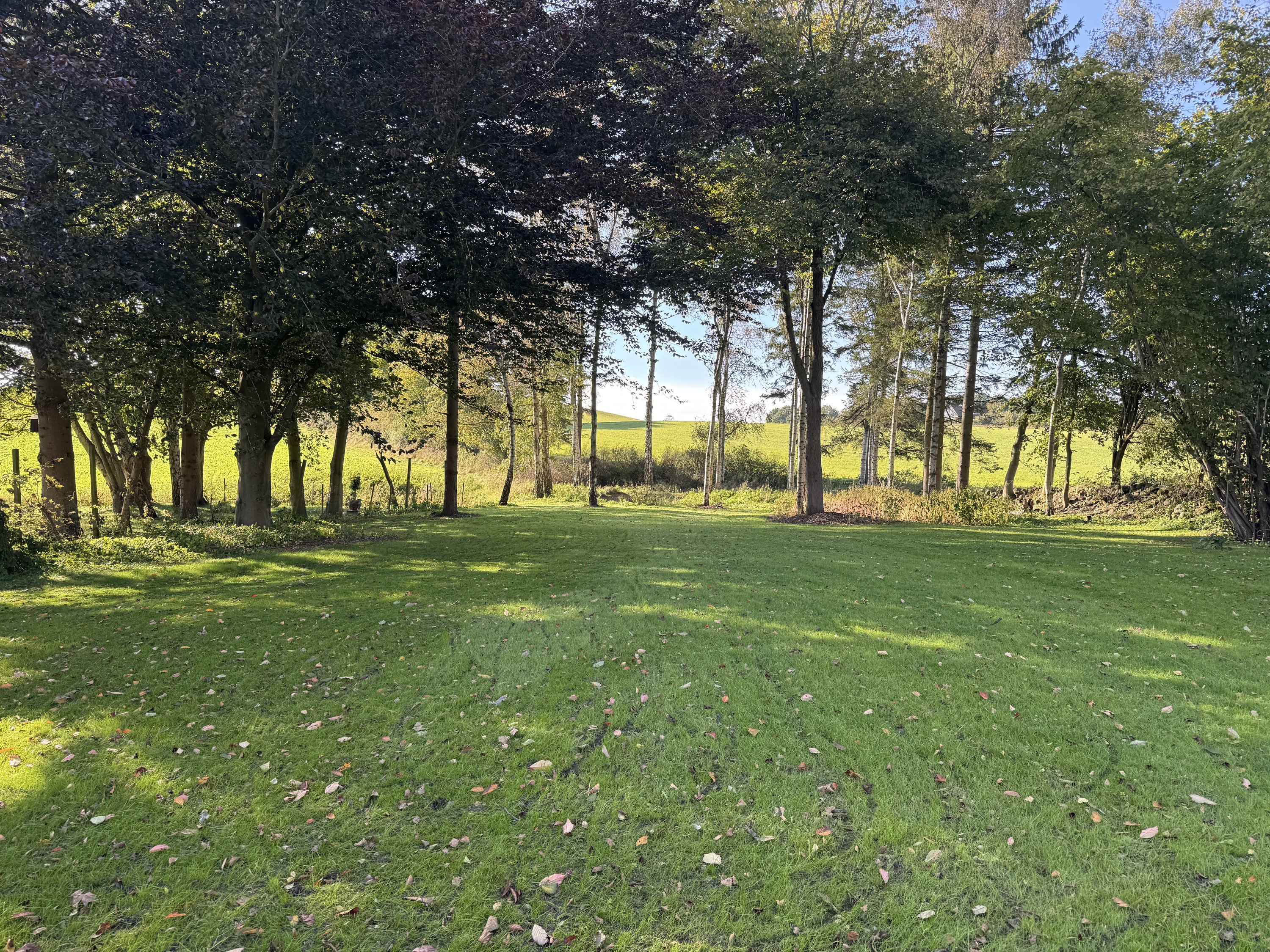 Fremhævet have billede i fuldskærmstilstand. Billede af Holmstrup Byvej 7, Holmstrup, 4450 Jyderup