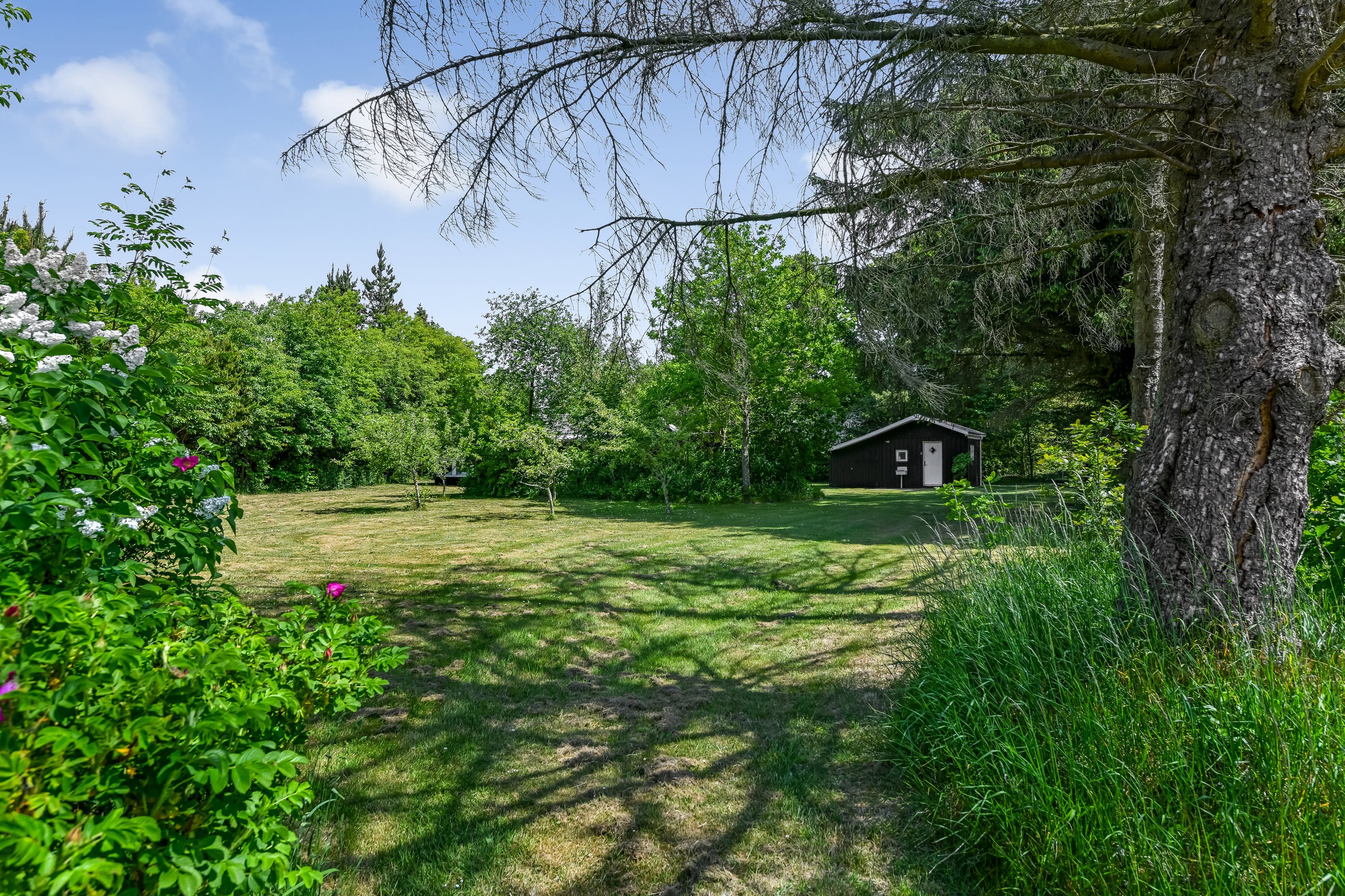 Fremhævet have billede i fuldskærmstilstand. Billede af Nøddehaven 36, Jegum, 6840 Oksbøl