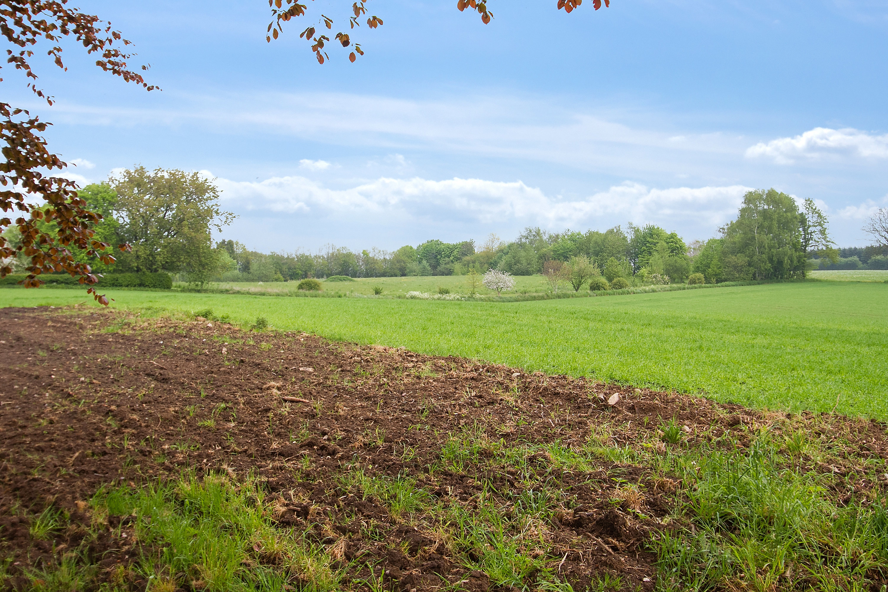 Fremhævet  billede i fuldskærmstilstand. Billede af Sognevej 39, Brudager, 5883 Oure