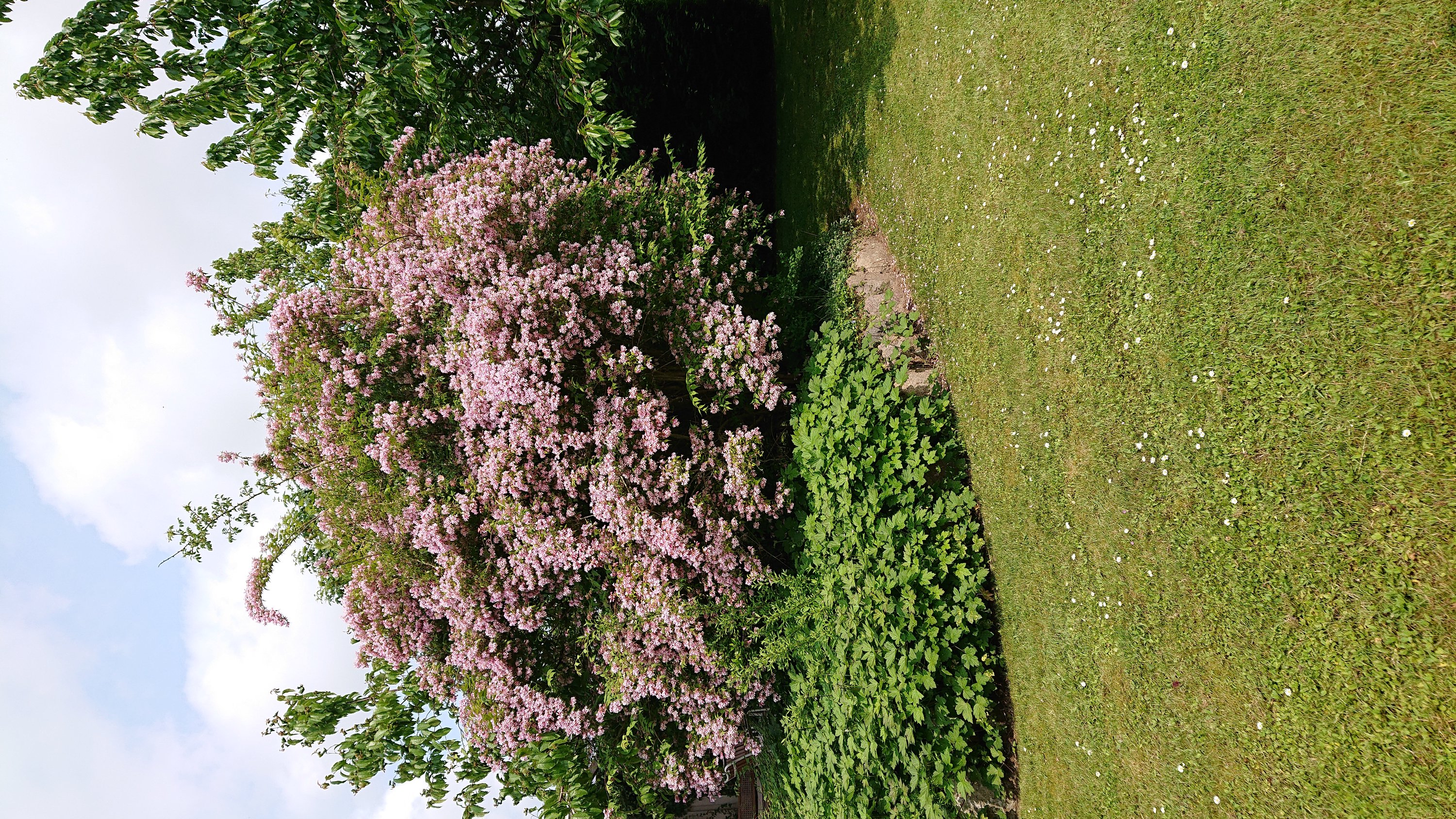 Fremhævet udendørs billede i fuldskærmstilstand. Billede af Strøbyvej 35, Østrup, 5450 Otterup