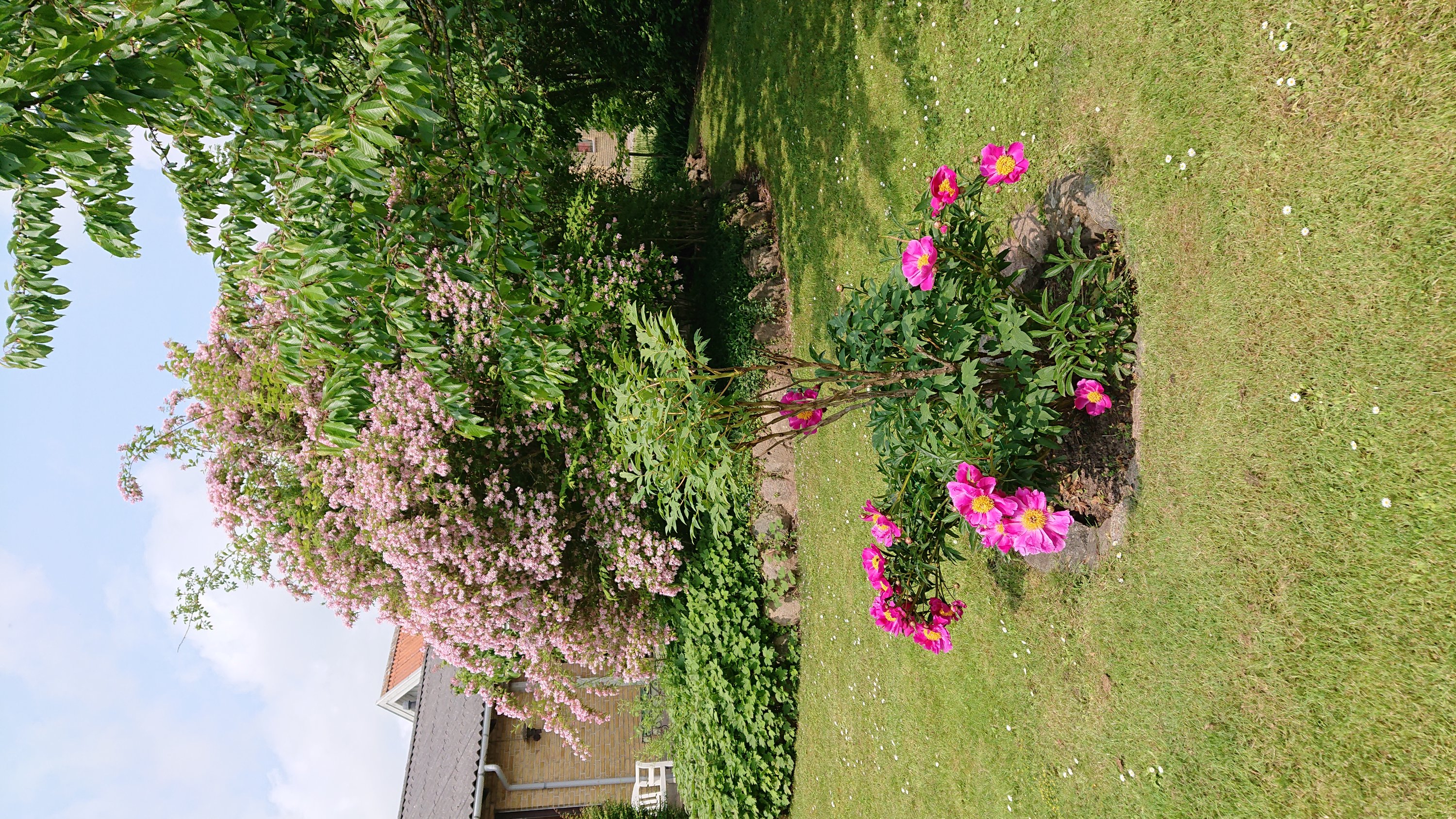 Fremhævet udendørs billede i fuldskærmstilstand. Billede af Strøbyvej 35, Østrup, 5450 Otterup