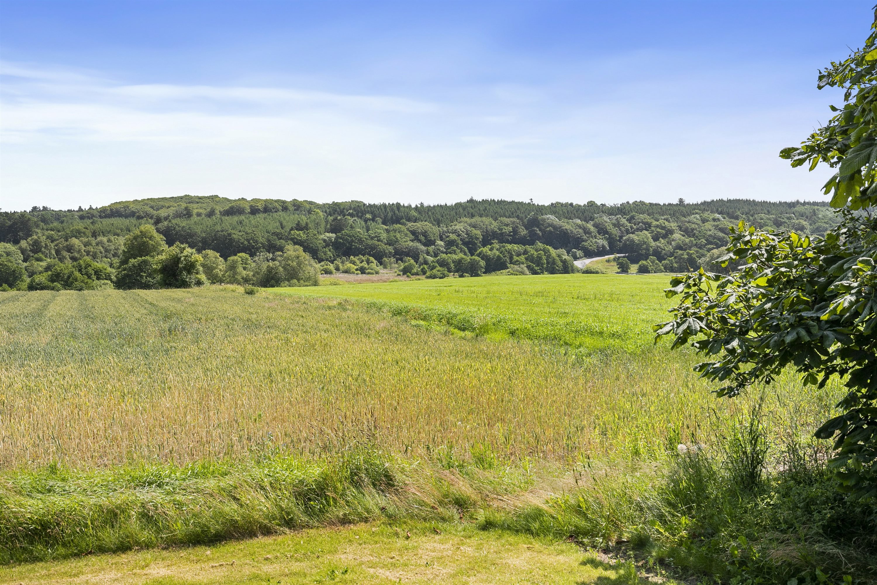 Fremhævet  billede i fuldskærmstilstand. Billede af Buderupholmvej 41, 9530 Støvring