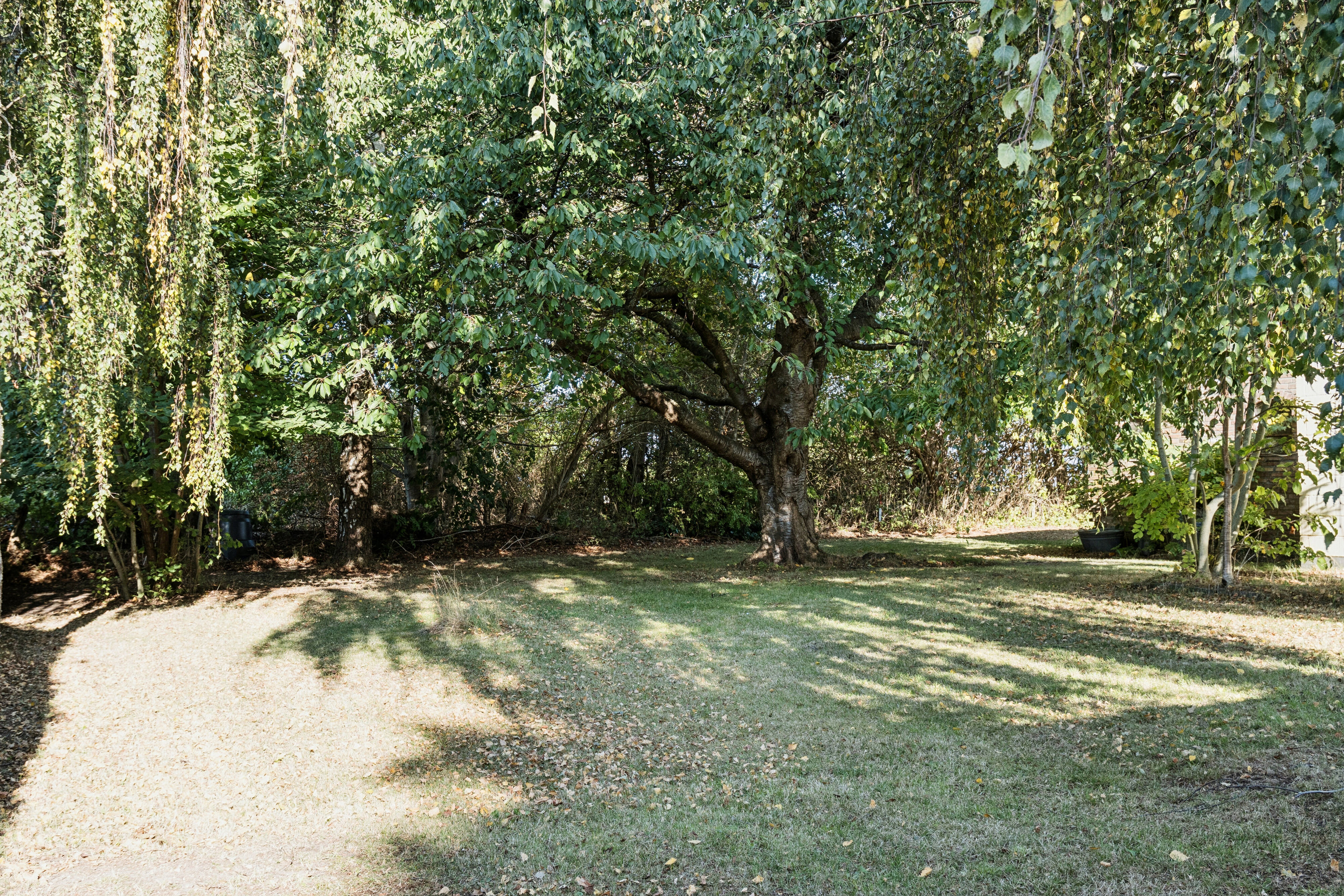 Fremhævet udendørs billede i fuldskærmstilstand. Billede af Thorshøjvej 7, 4500 Nykøbing Sj