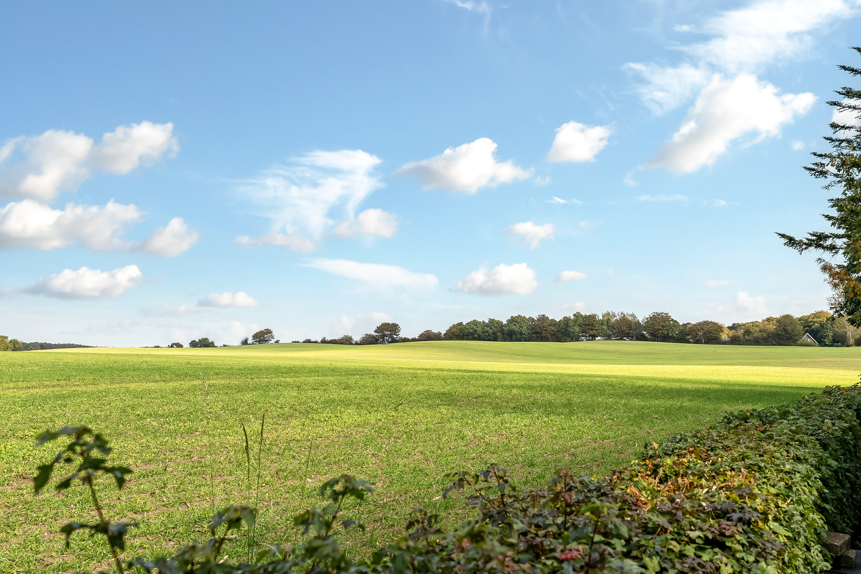 Fremhævet udsigt billede i fuldskærmstilstand. Billede af Drenderupvej 10, Ødis Bramdr, 6580 Vamdrup