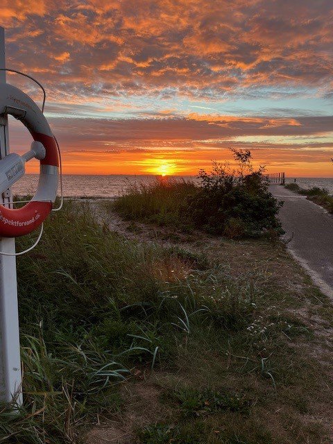 Fremhævet  billede i fuldskærmstilstand. Billede af Skolevænget 2, Hou, 8300 Odder