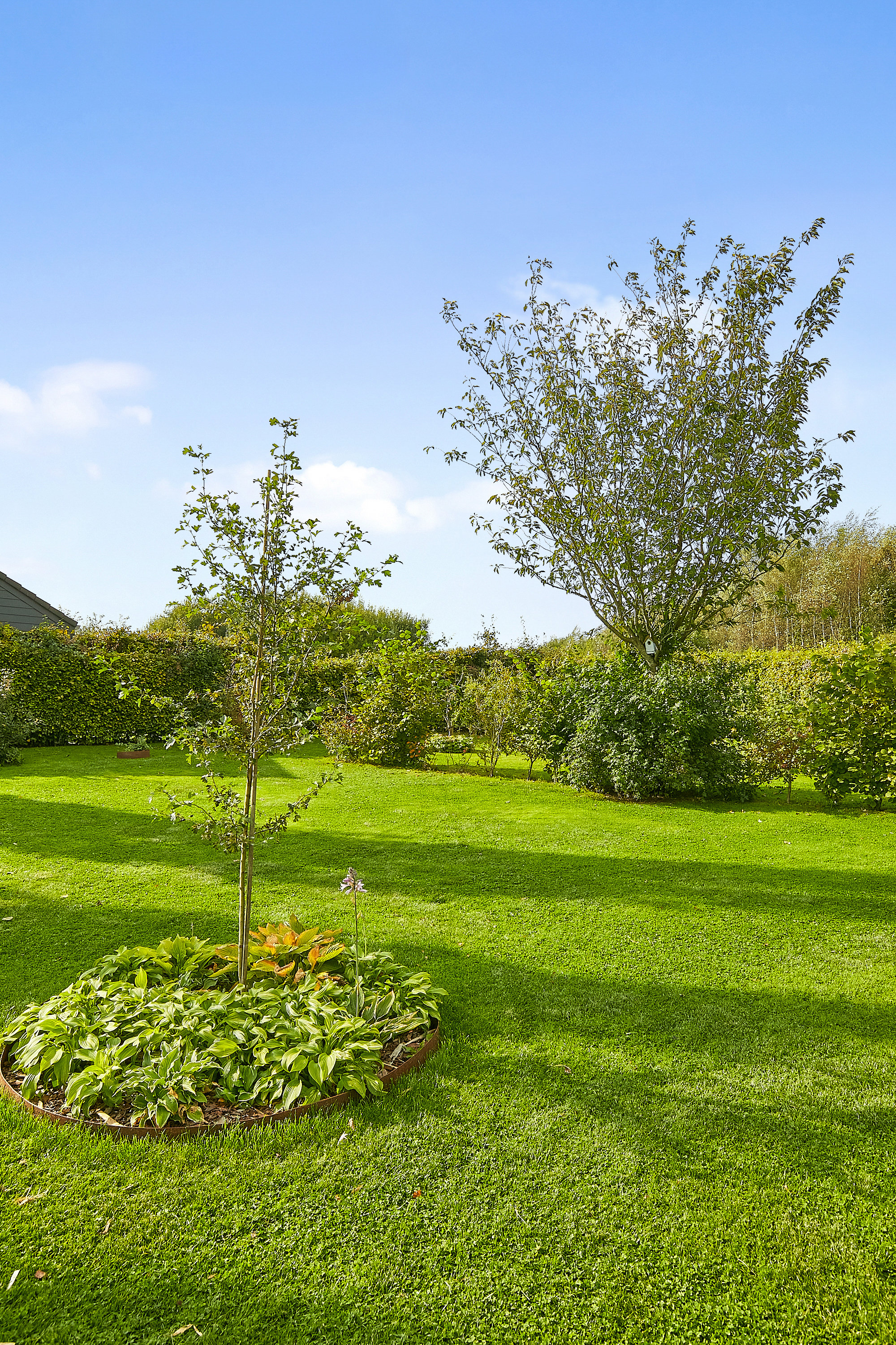 Fremhævet  billede i fuldskærmstilstand. Billede af Haugled 4, 7300 Jelling