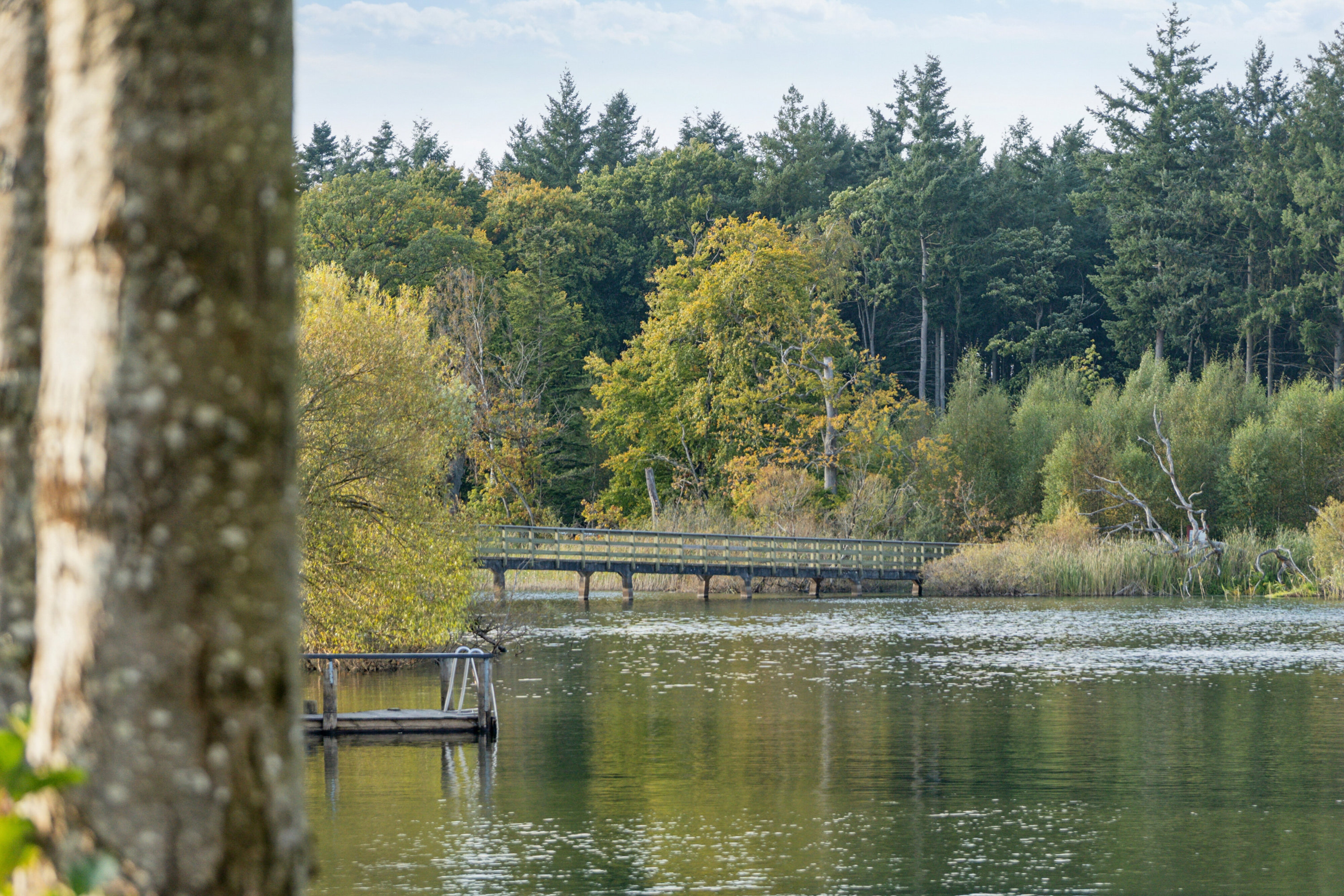 Fremhævet udsigt billede i fuldskærmstilstand. Billede af Søgade 28, st.. + kælder., Centrum, 8600 Silkeborg