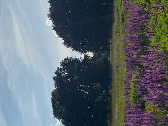 Fremhævet  billede i fuldskærmstilstand. Billede af Voldumvej 14, 2610 Rødovre